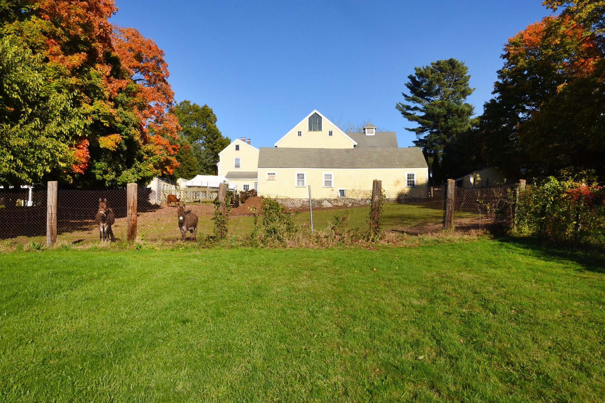 558 N Main St Property Photo 17