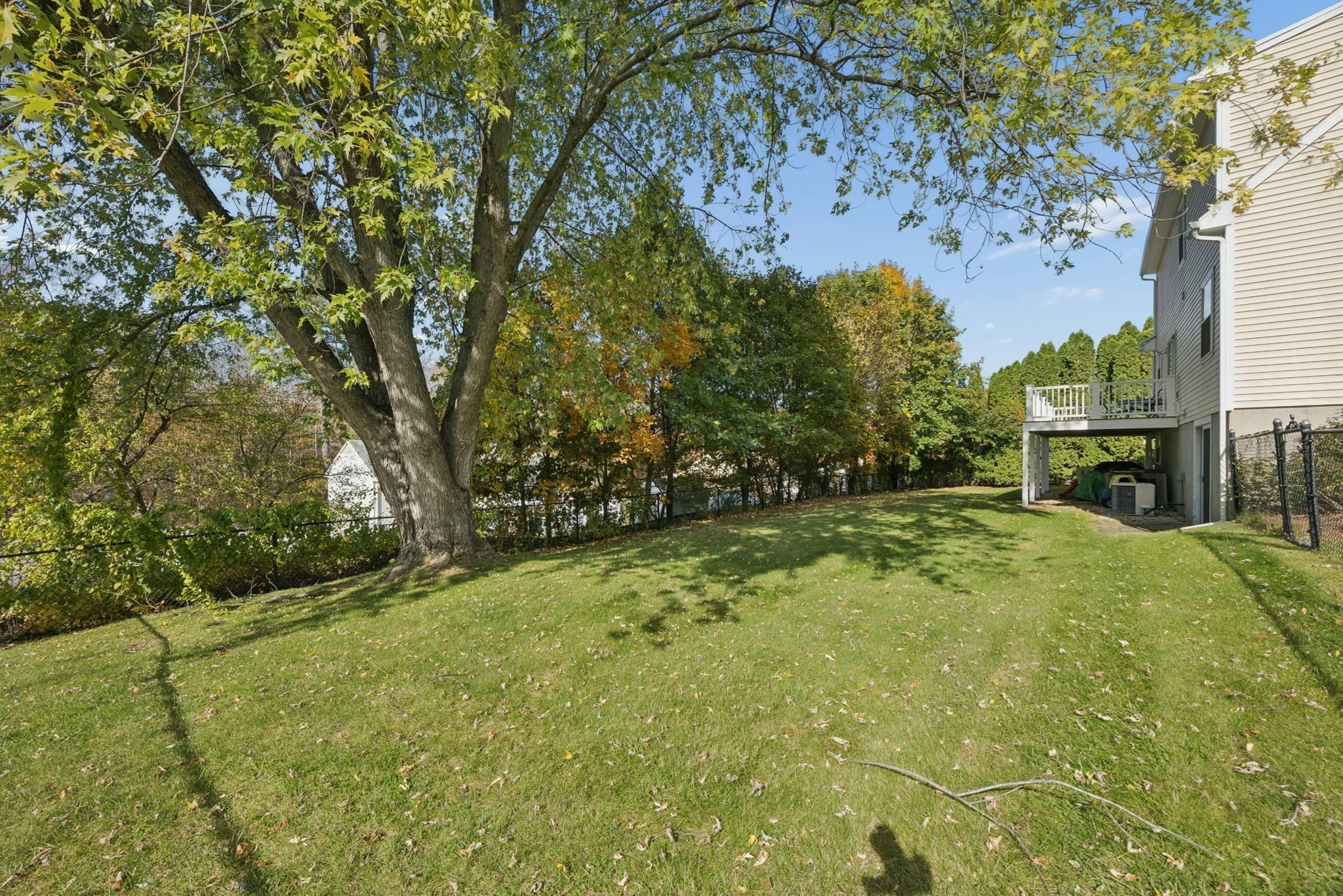 56 Bennett St Property Photo 31