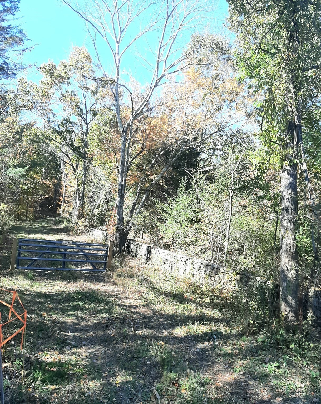 0 Brookfield Road Property Photo 9