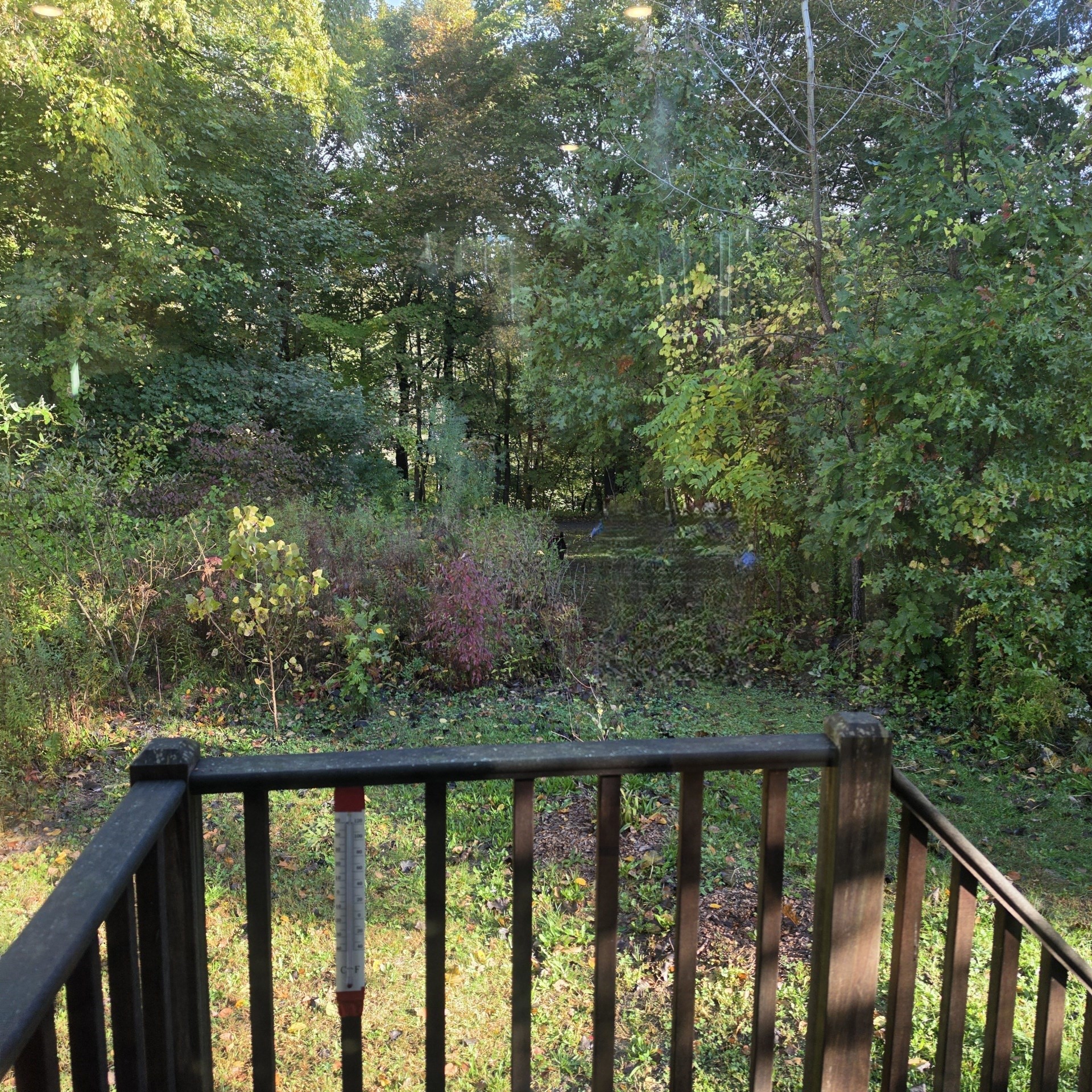 117 Olander Dr # 17b Property Photo 20
