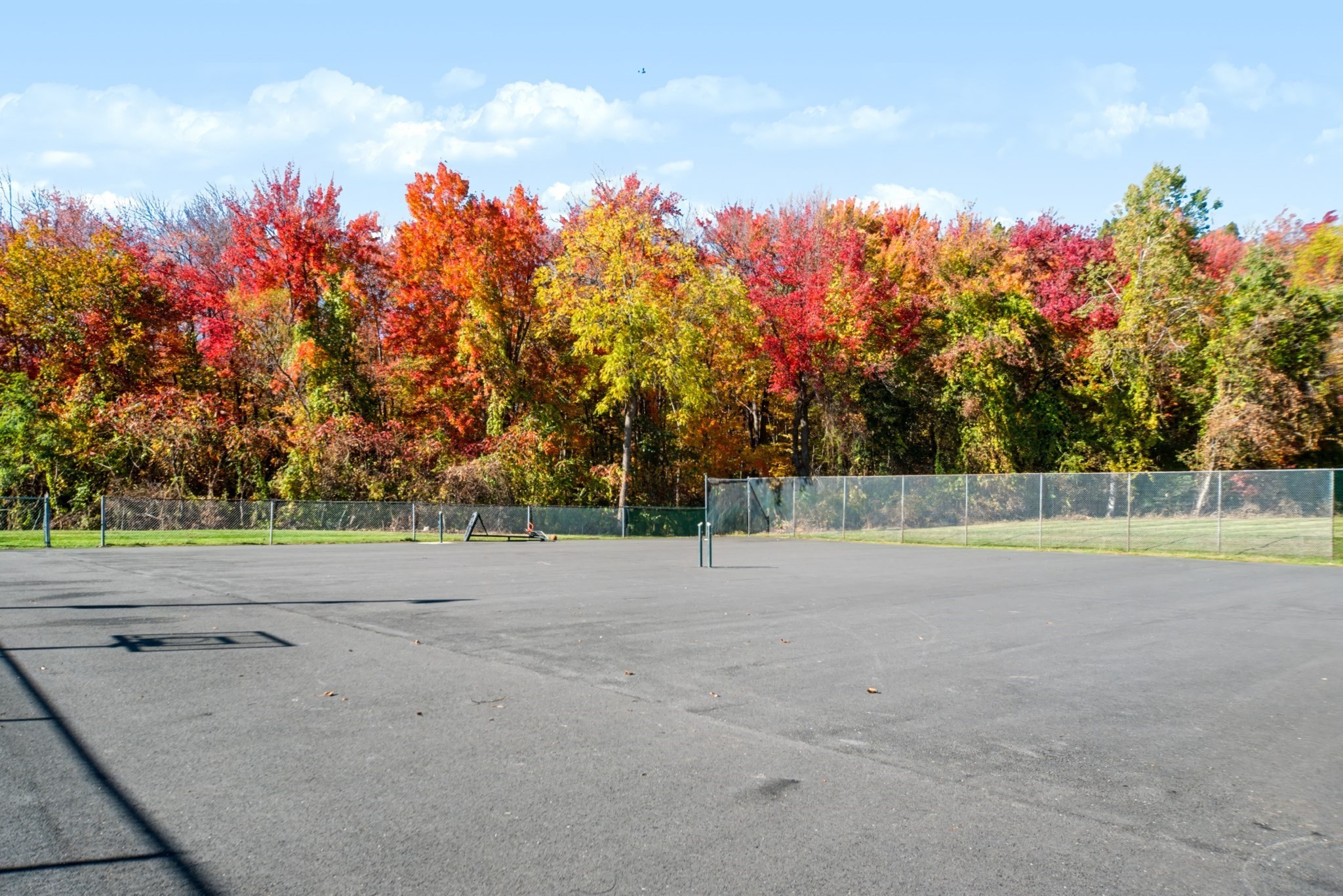 14 Fernwood Dr # B Property Photo 37