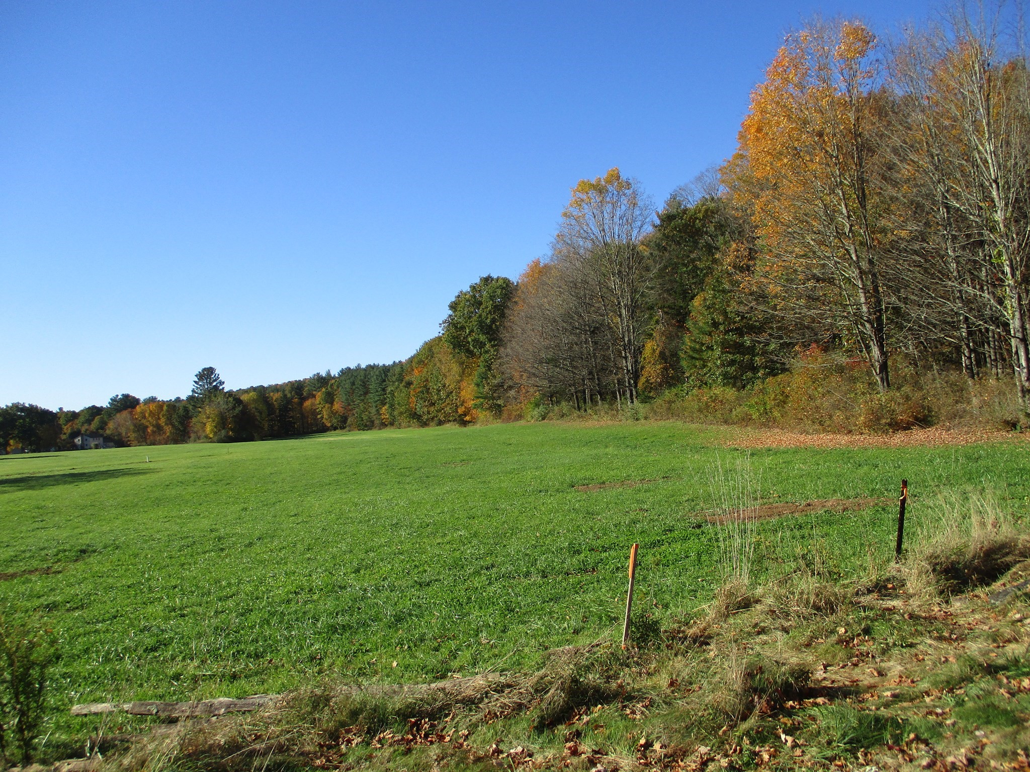 7 Wolcott Rd Property Photo 1