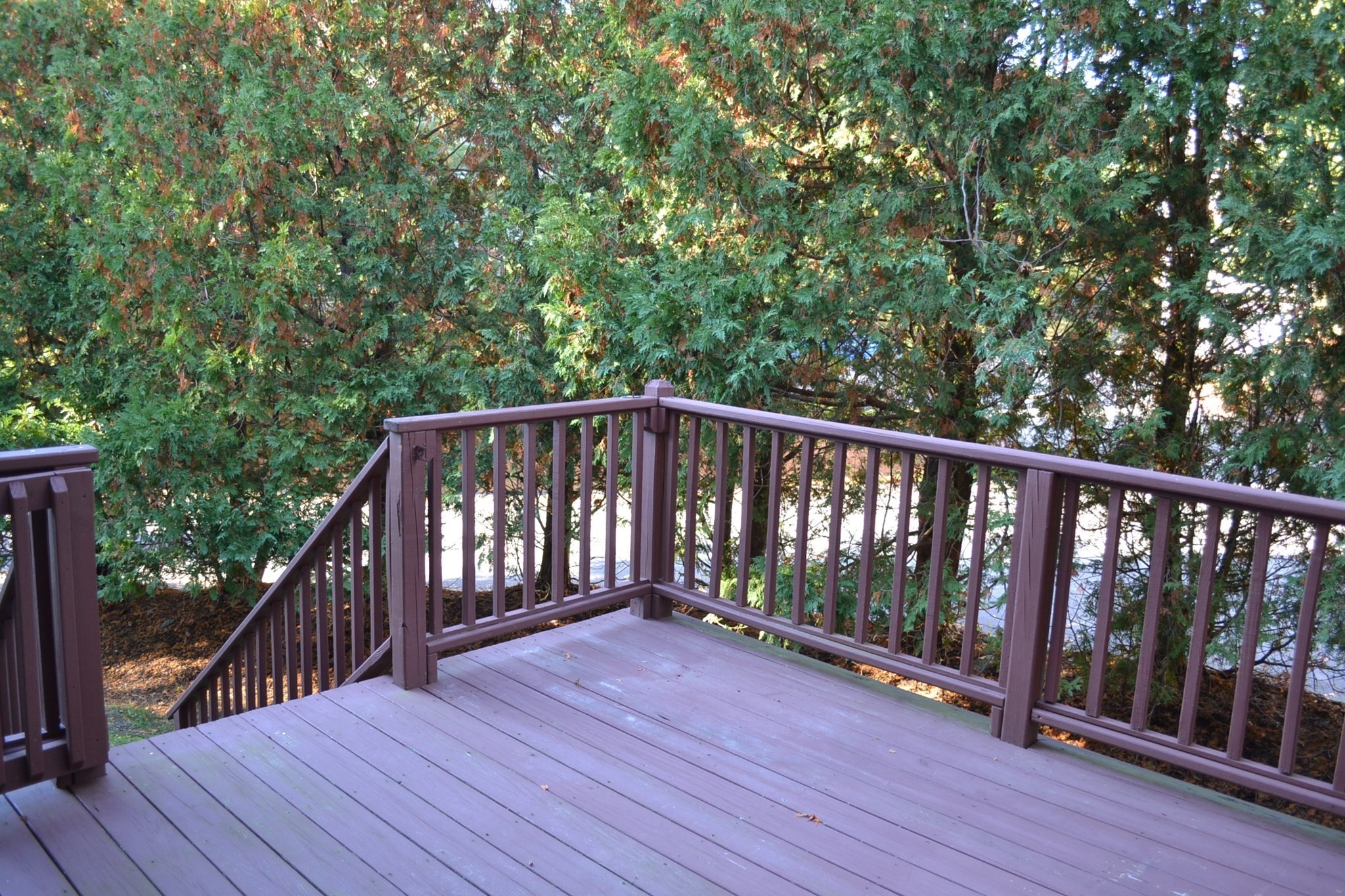 198 Algonquin Trl # 198 Property Photo 32