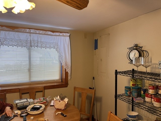 24 Woodland St Property Photo 21