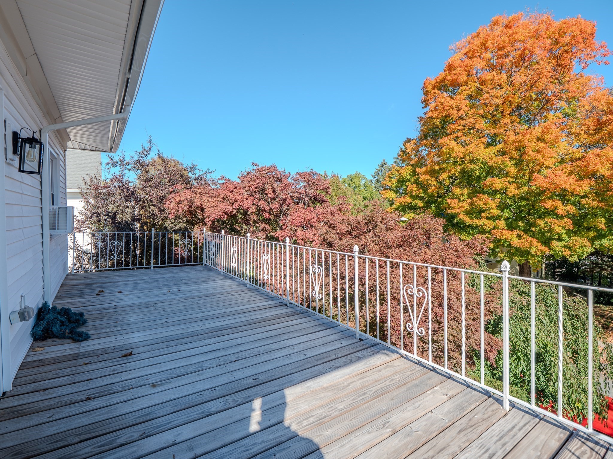 16 Morningside Rd Property Photo 41