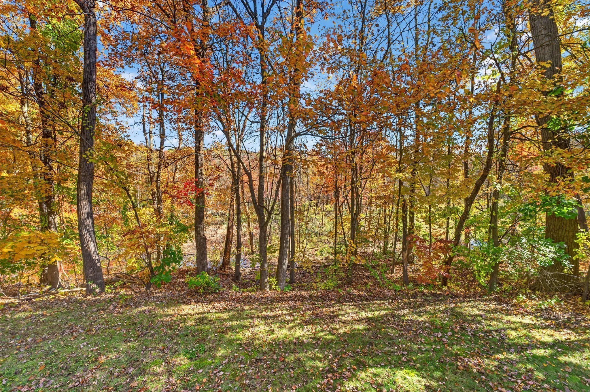 9 Arbor Drive Property Photo 5