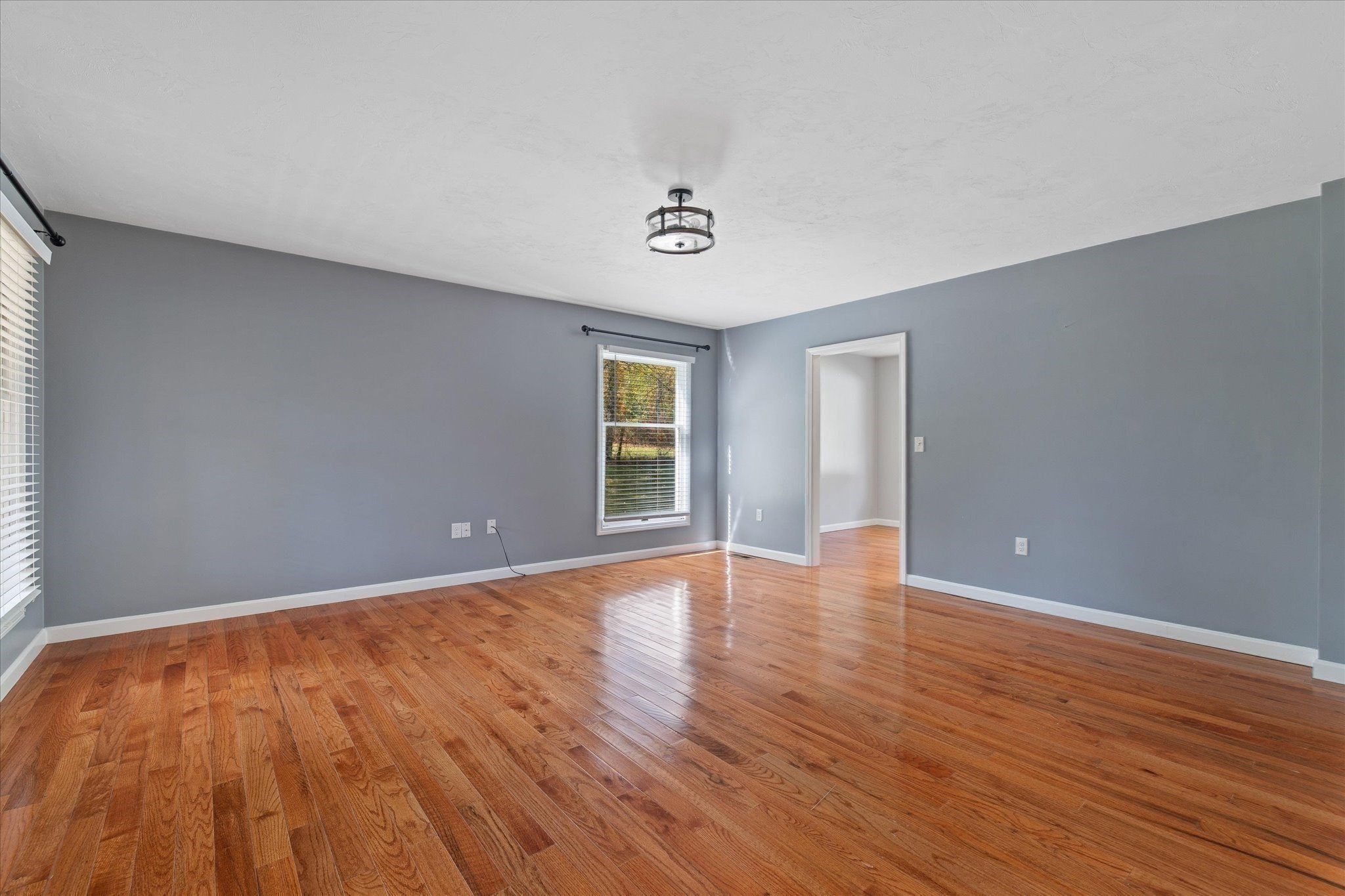 164 Baldwin Street Property Photo 15
