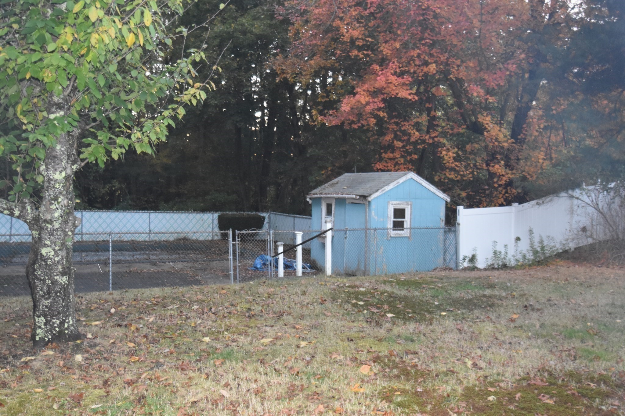 648 North Street Property Photo 19