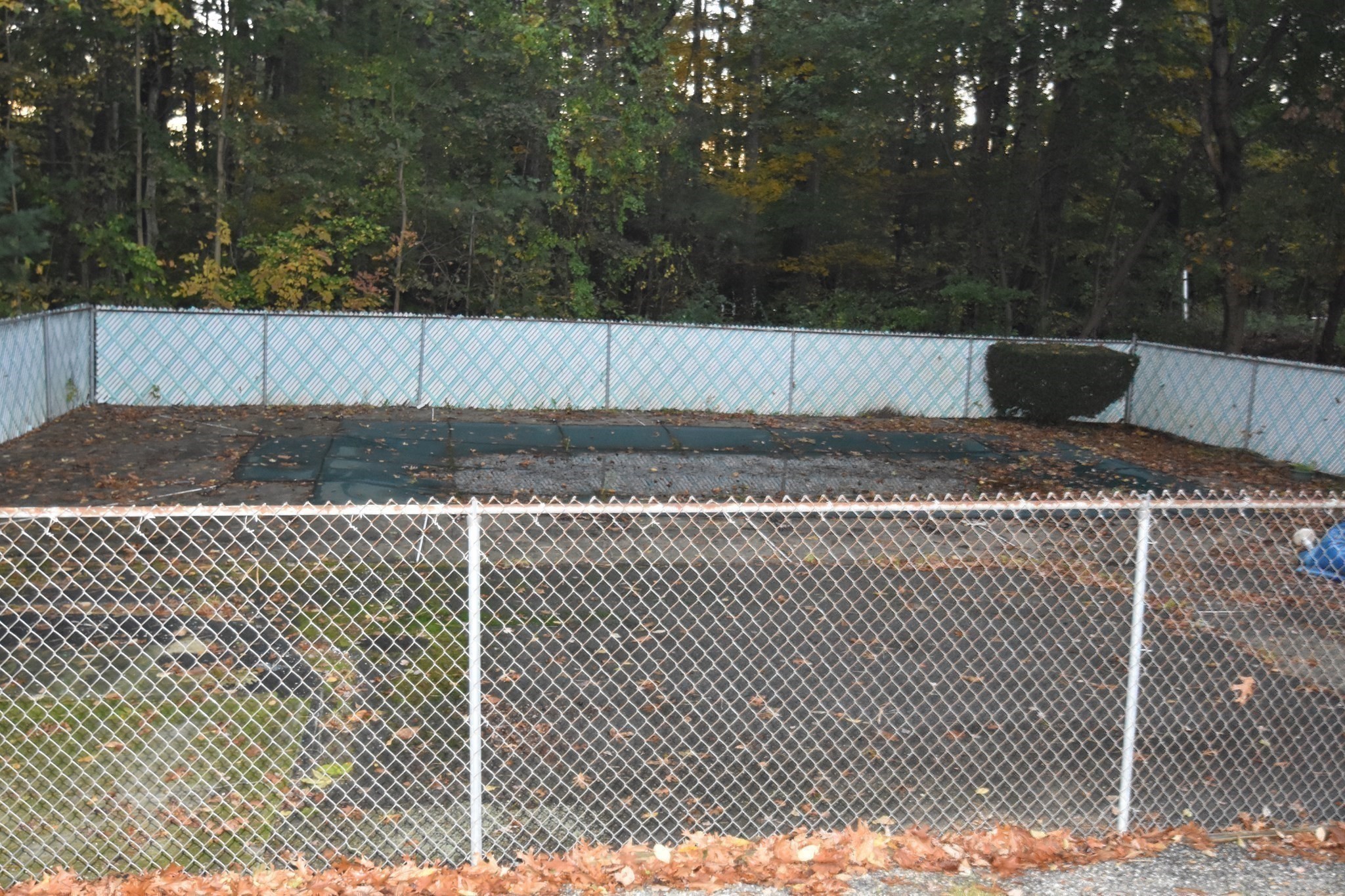 648 North Street Property Photo 21