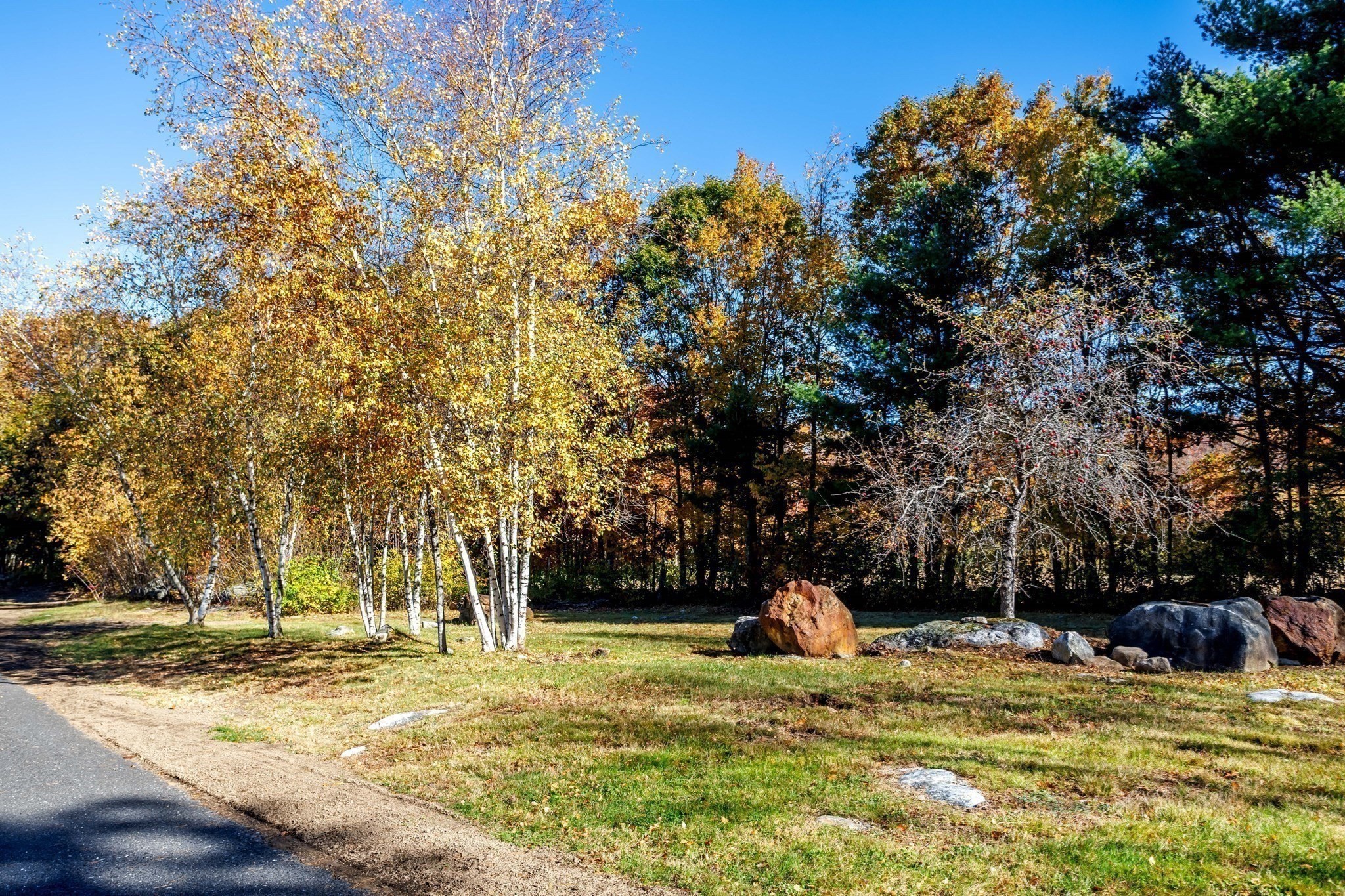 145 Willard Road Property Photo 40