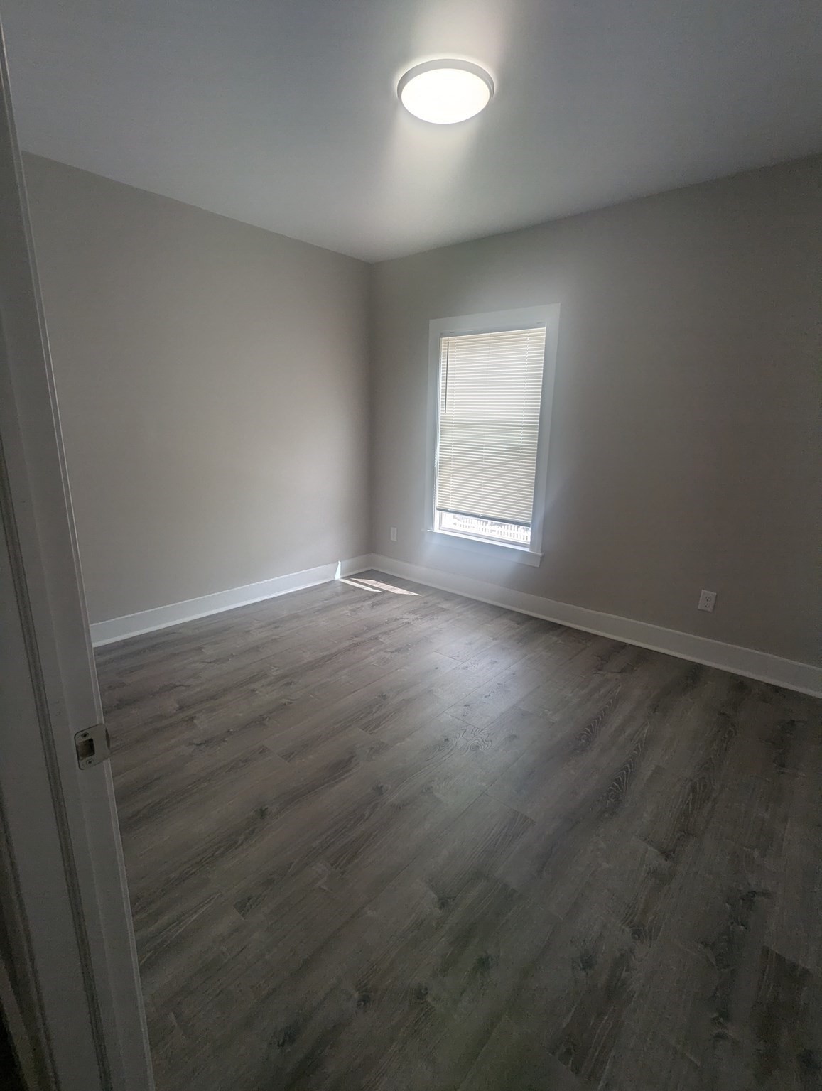 365 Shirley Street # 2 Property Photo 5