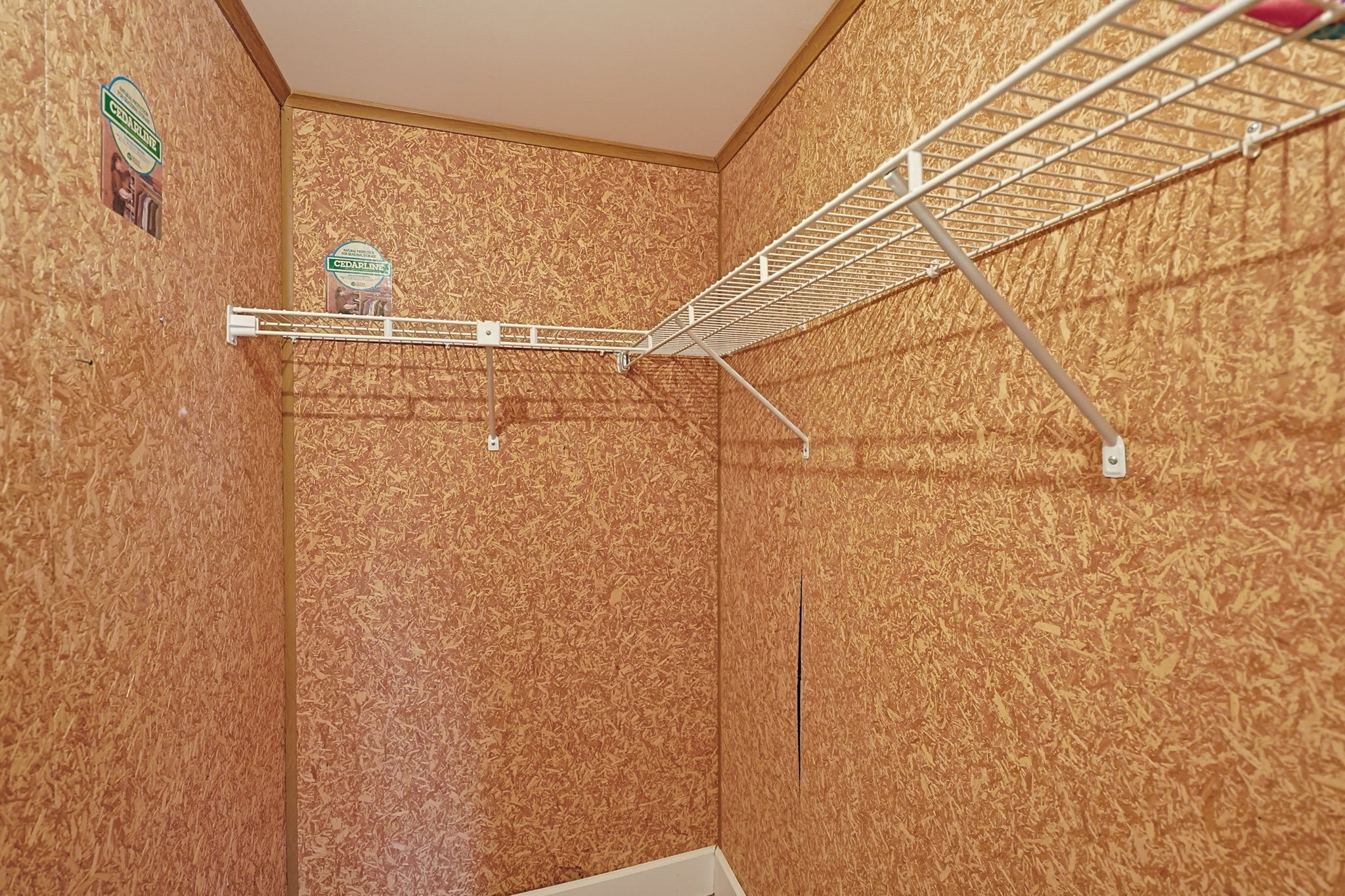 4 Forest Lane Property Photo 20