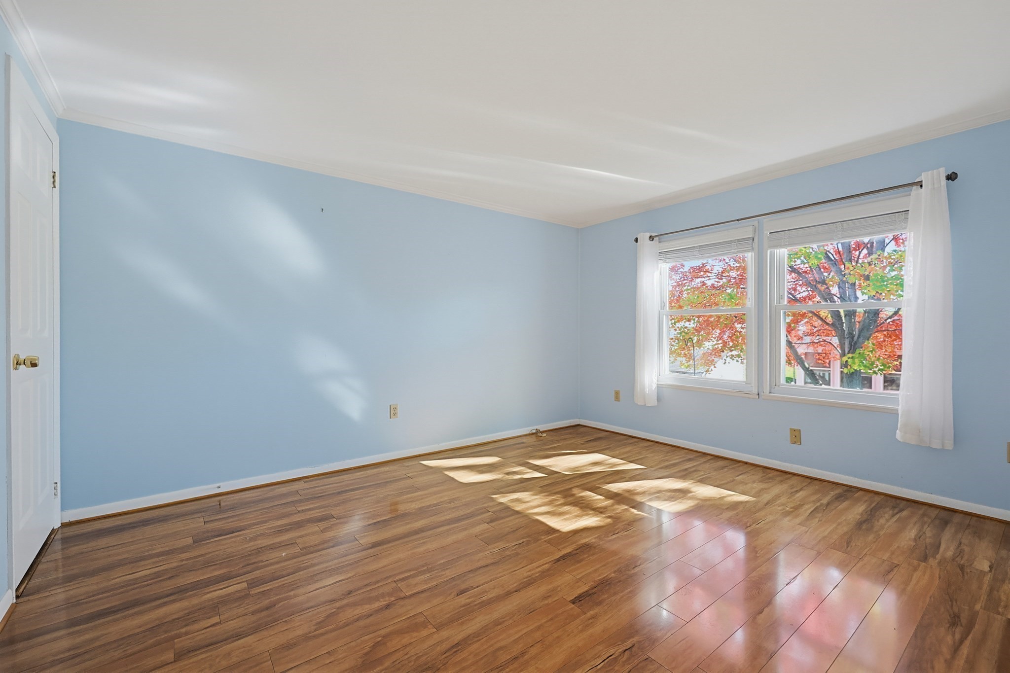 4 Forest Lane Property Photo 22