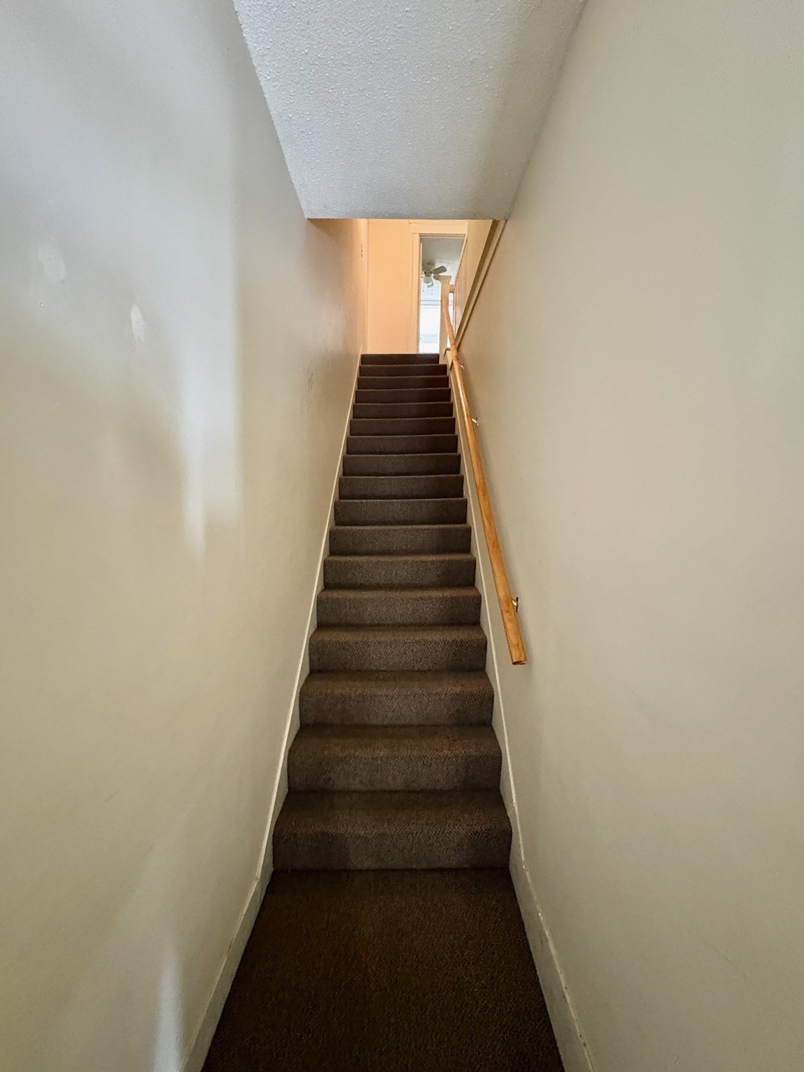 21 Bellevue St # 3 Property Photo 2