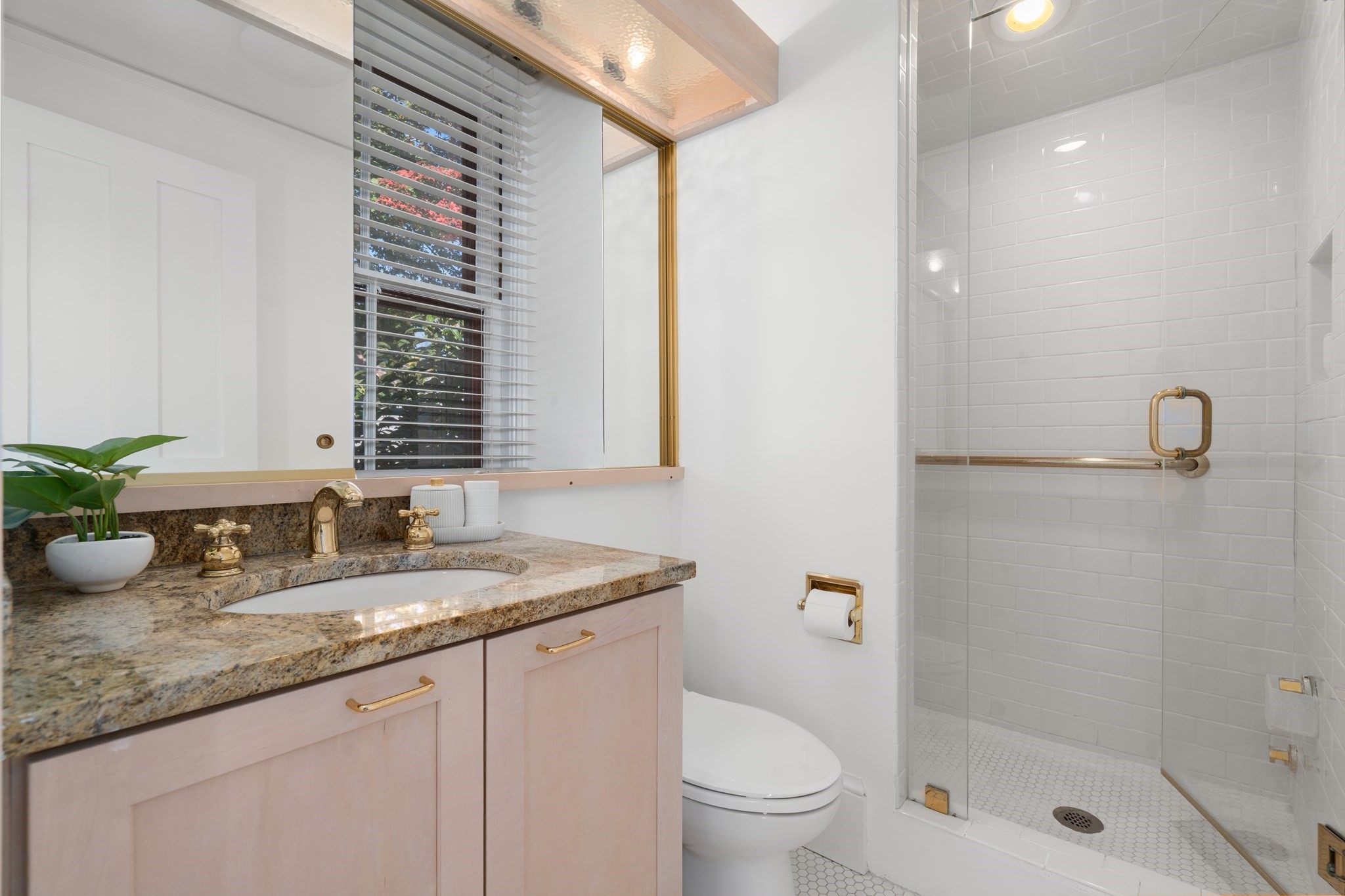 5 Sparks Street Property Photo 12