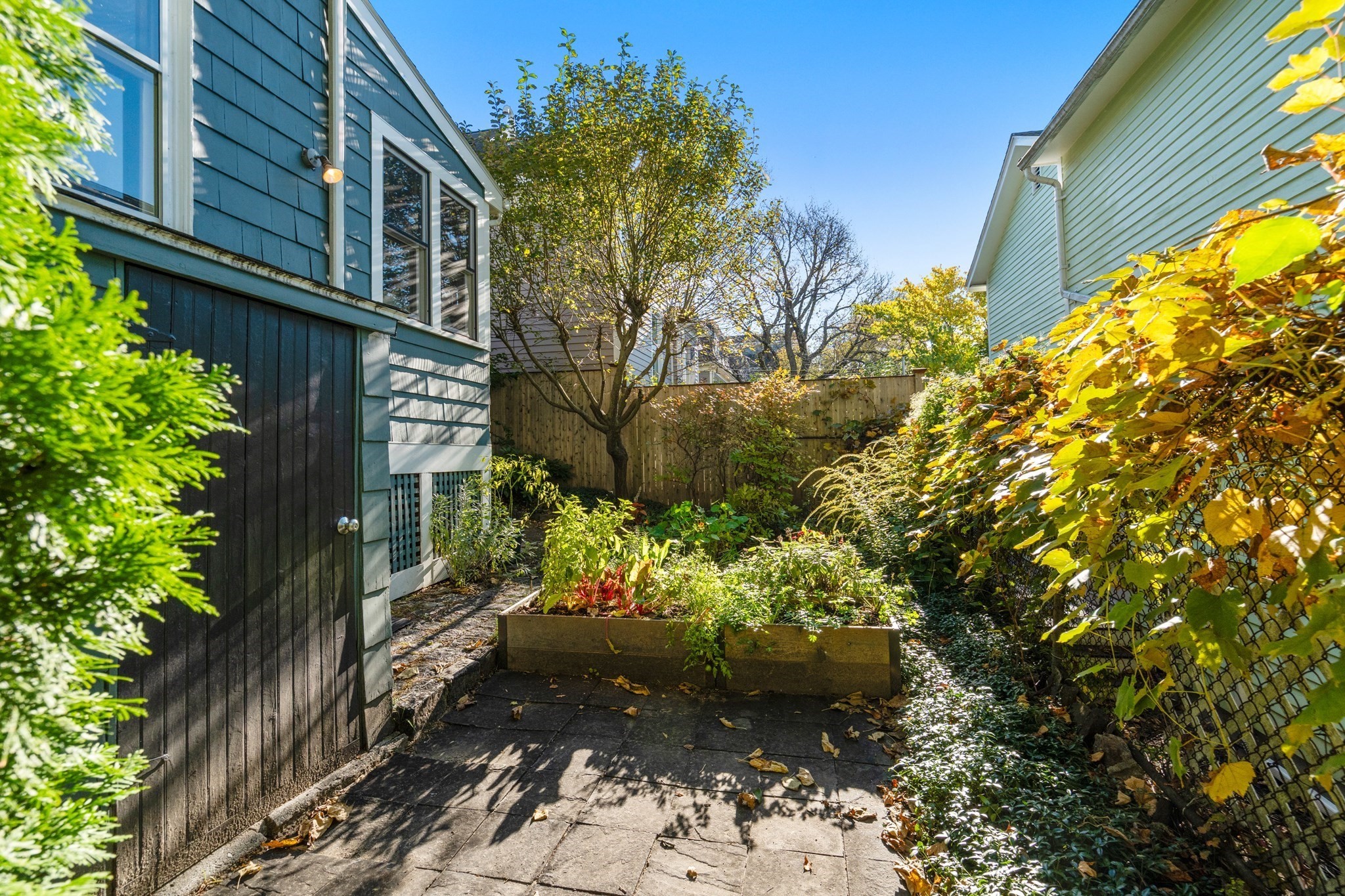 32 Mead Street Property Photo 18