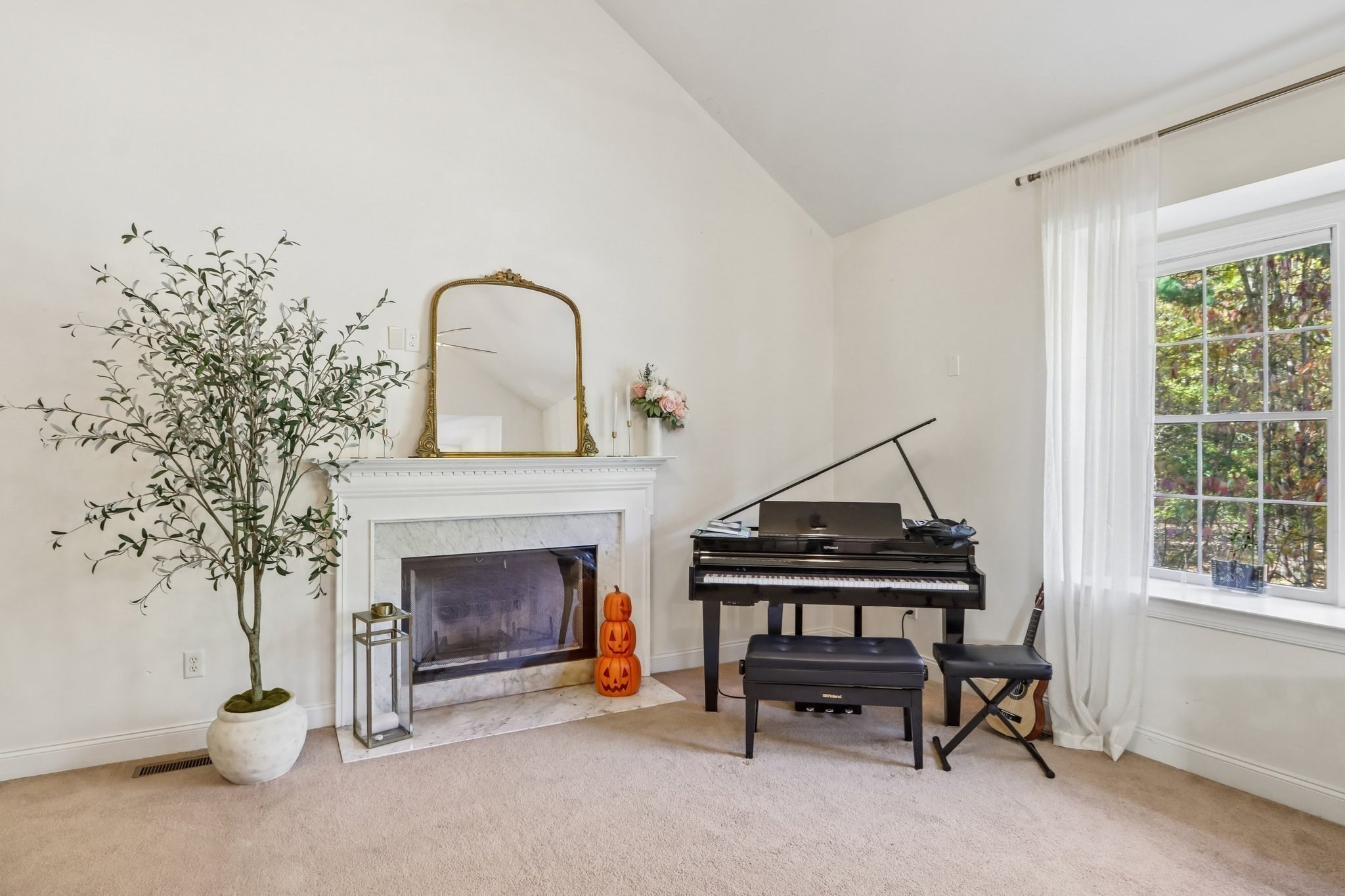 67 Whitehall Way Property Photo 18