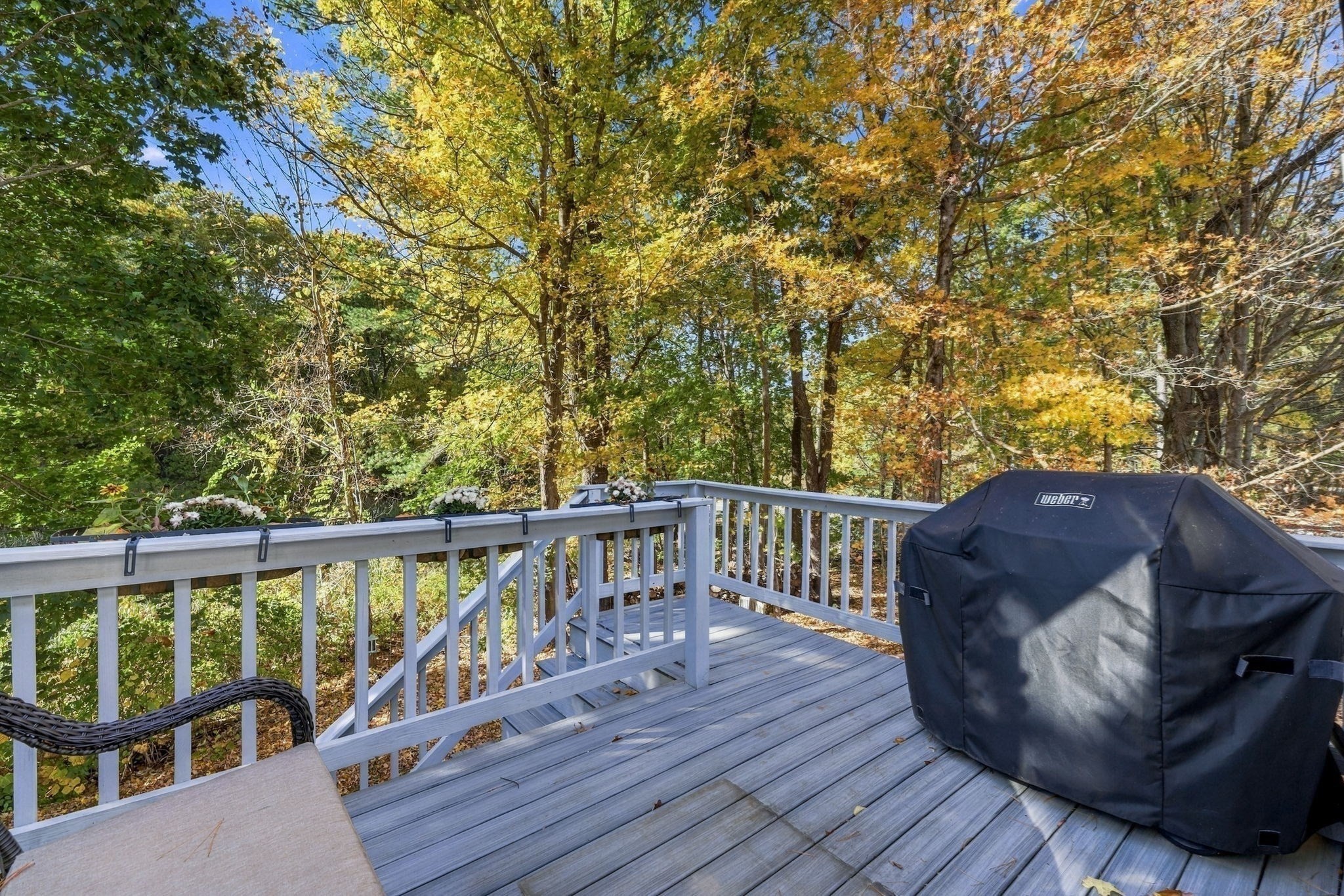 20 Essex St. Property Photo 31