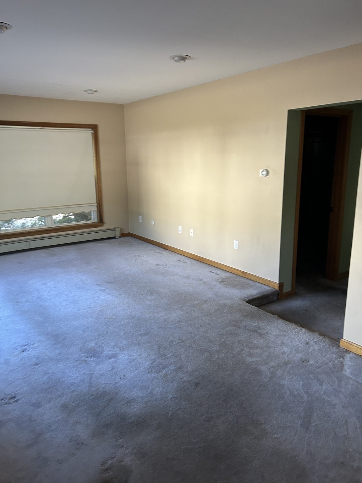 12 Central Property Photo 3