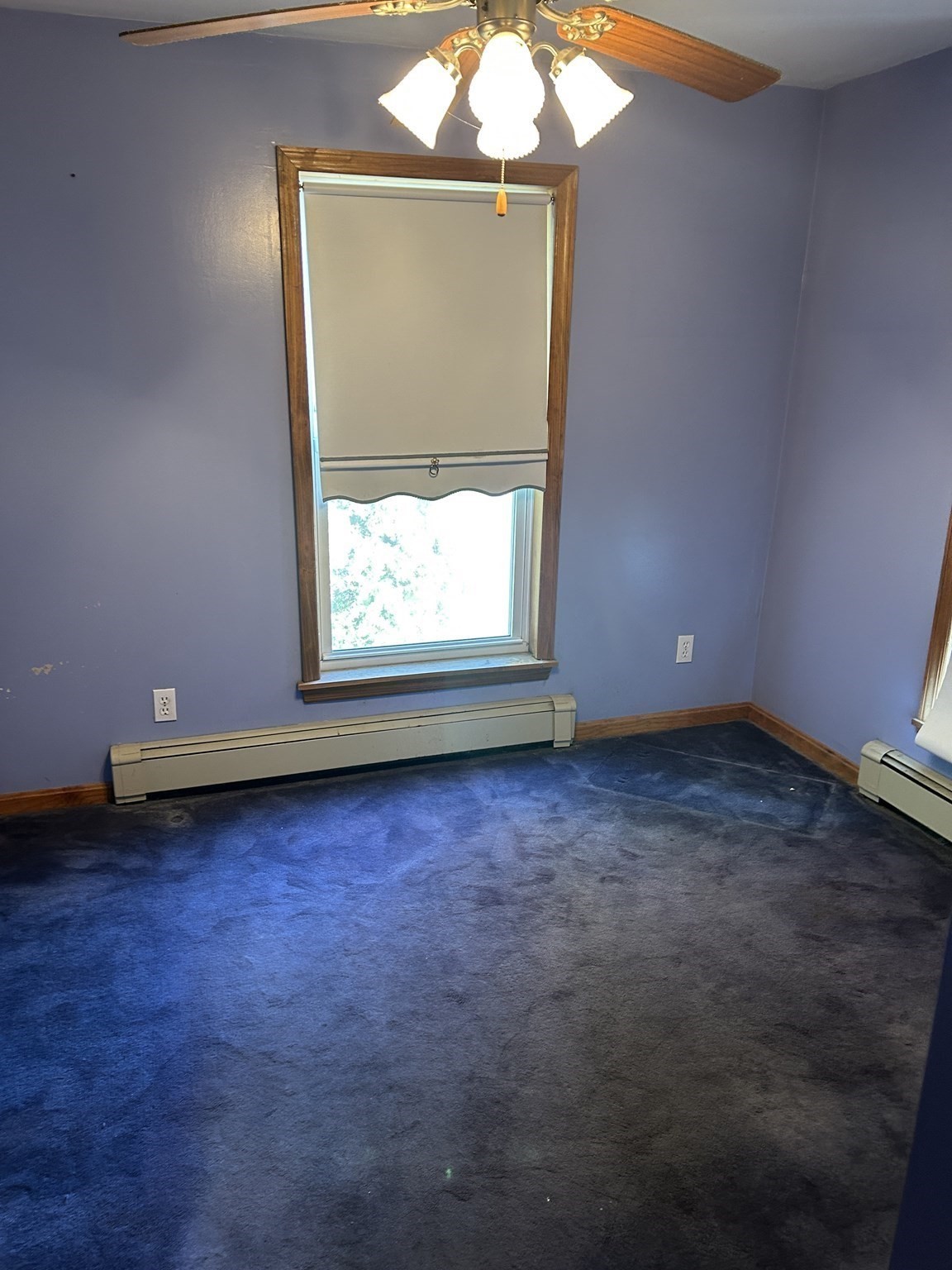 12 Central Property Photo 4