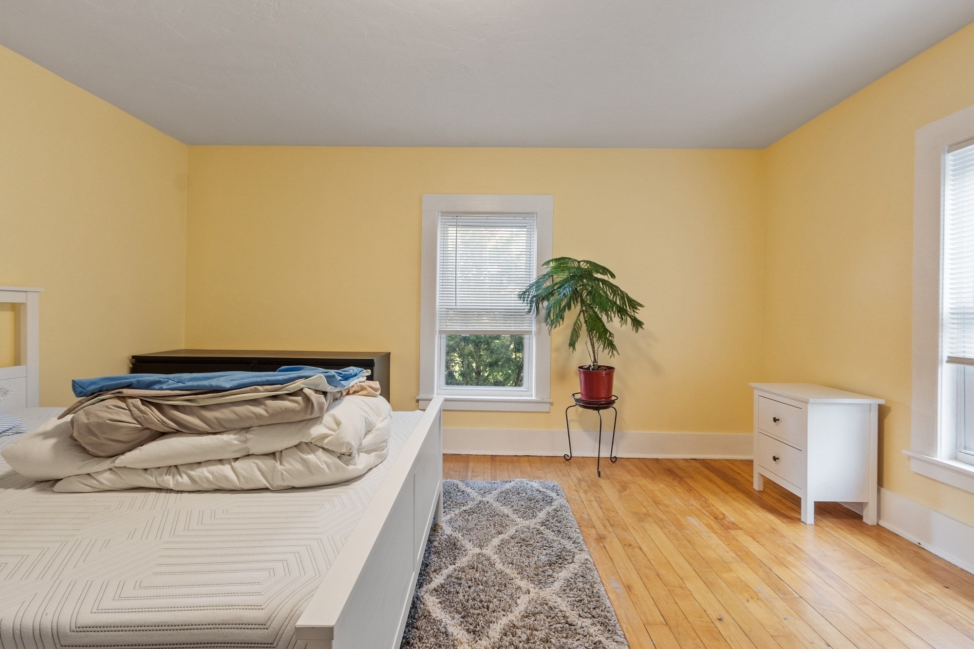 65 School Street Property Photo 17