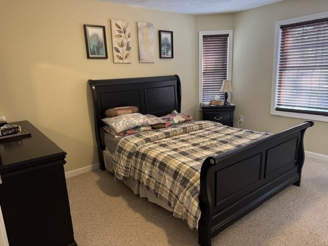 15 Basswood Blvd # 15 Property Photo 14
