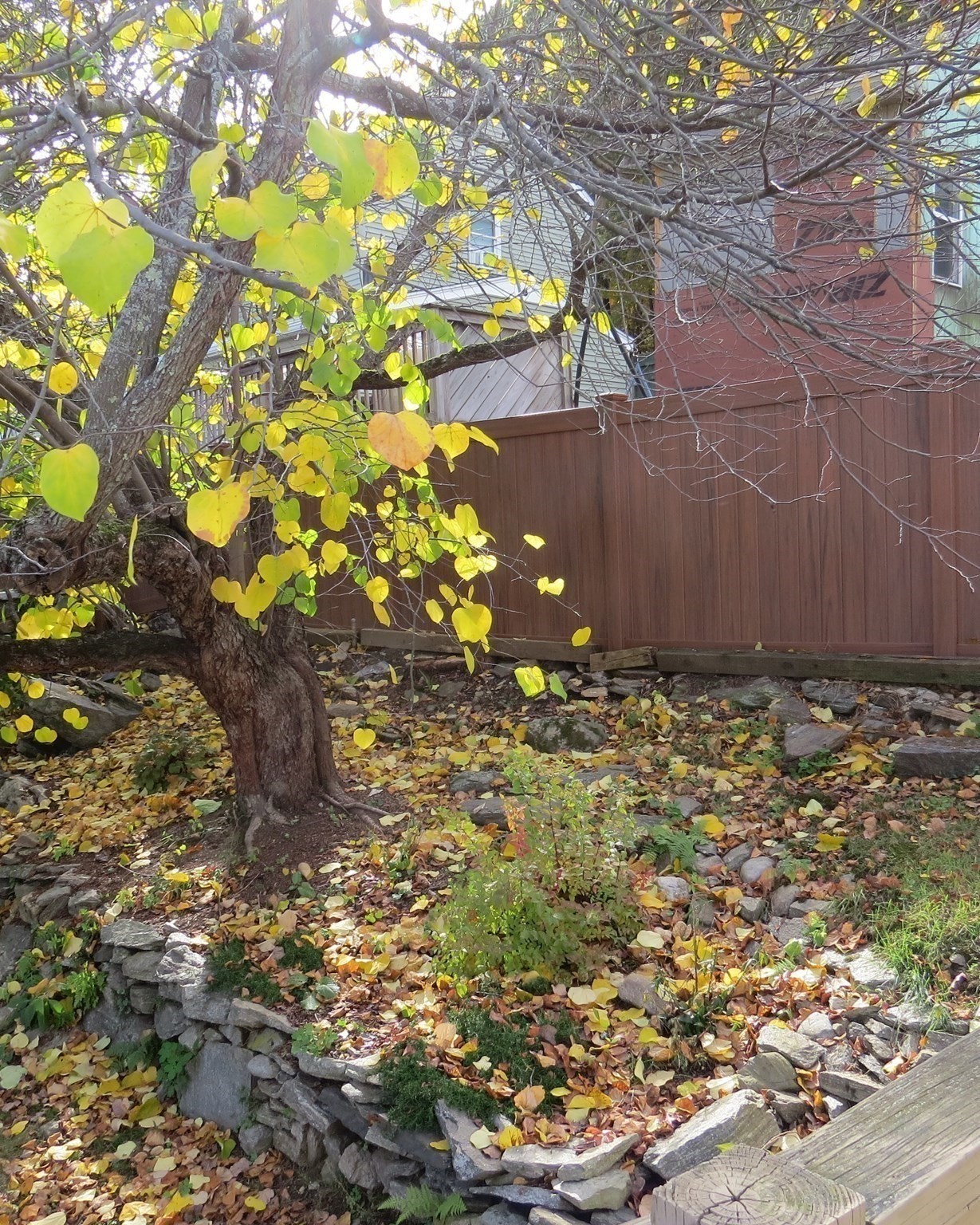 11 Sonoma Dr Property Photo 8