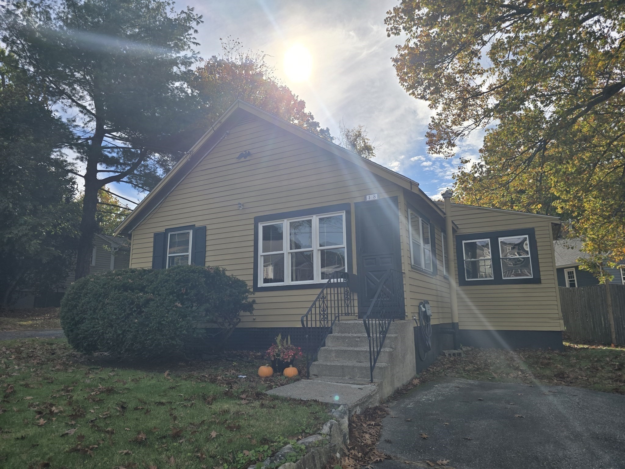 18 Amory Rd Property Photo 3