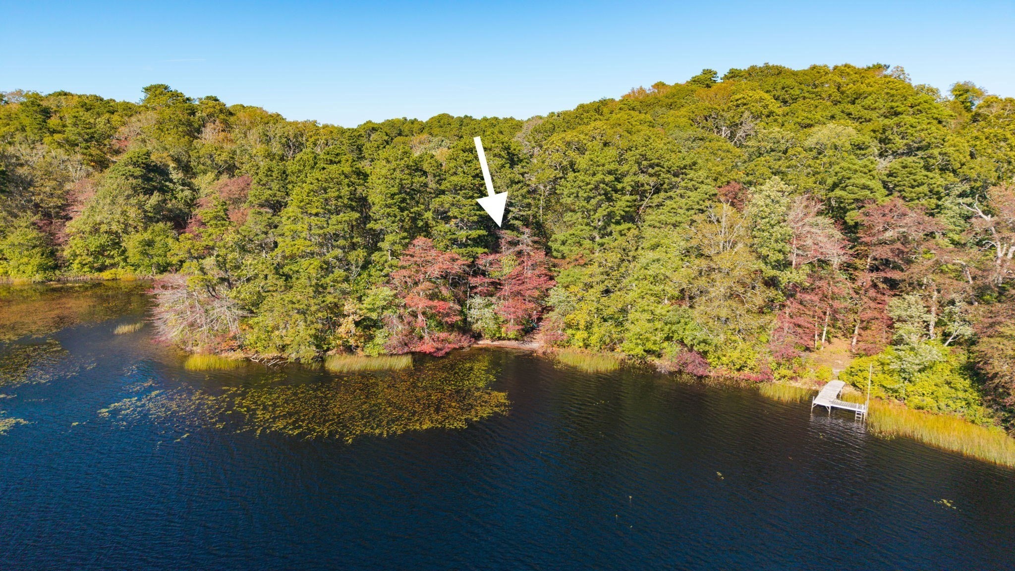 0 Old Long Pond Road Property Photo 1