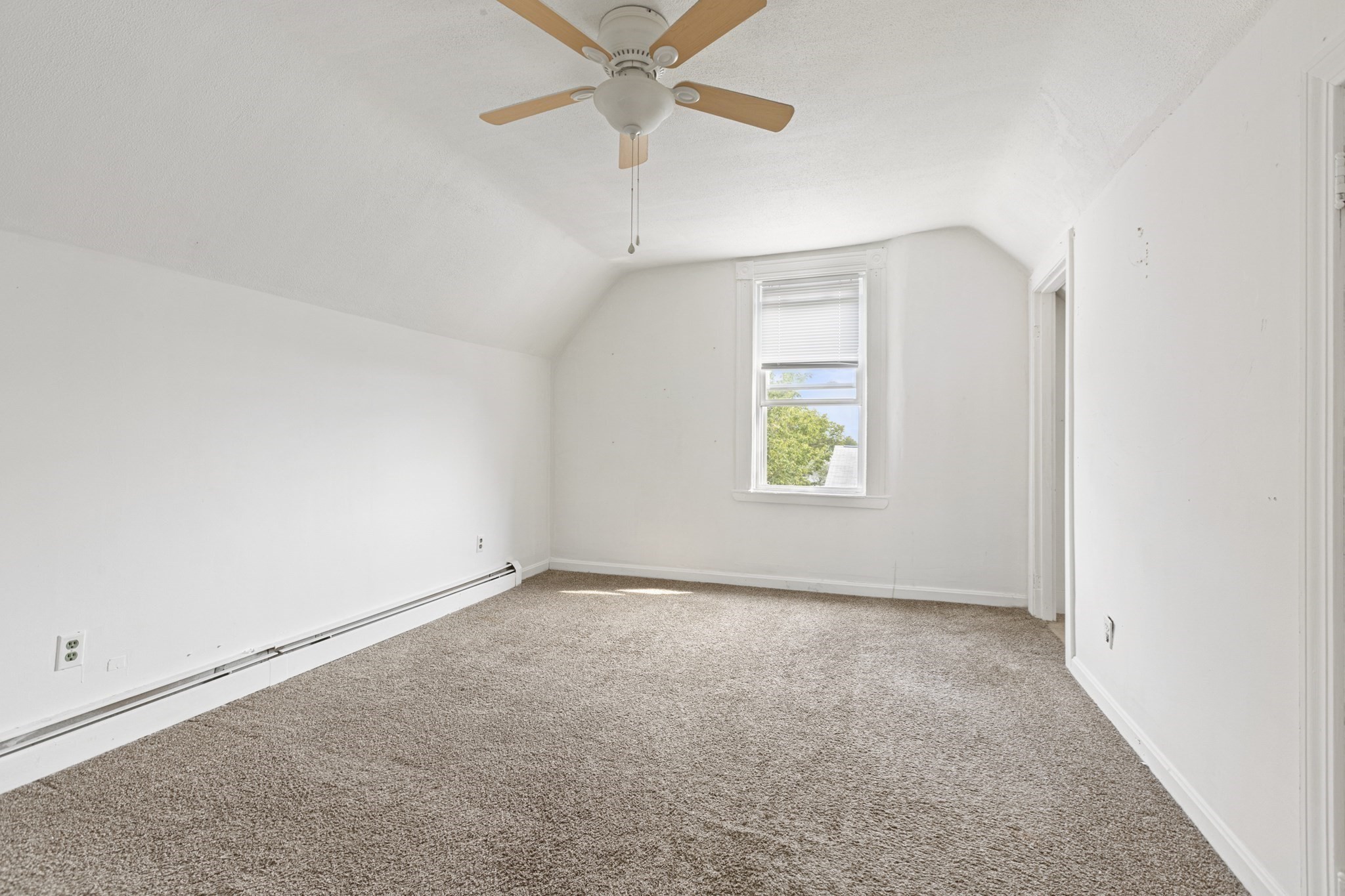 24 Belleville Rd Property Photo 19
