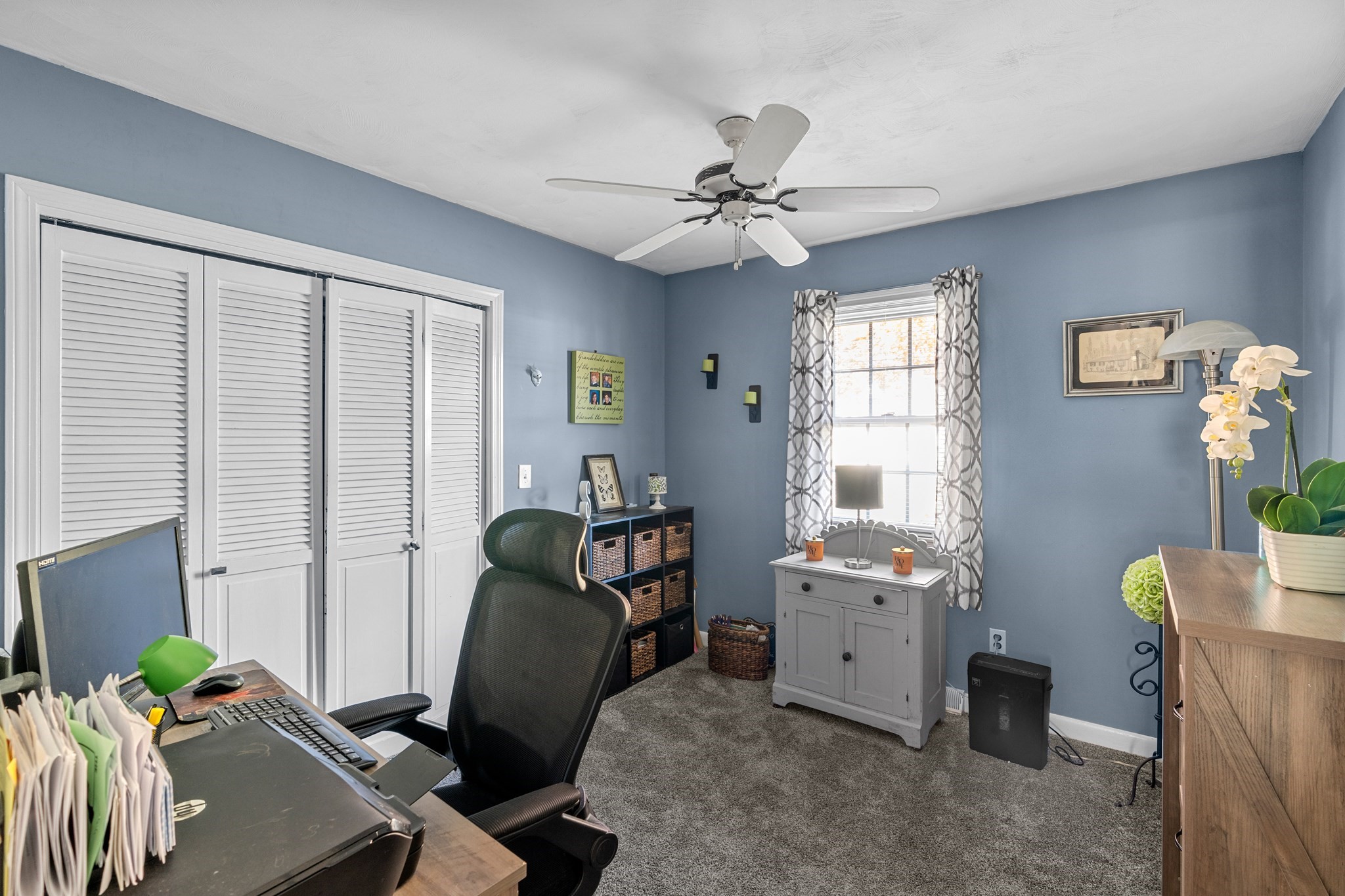 14 Joseph Street Property Photo 20