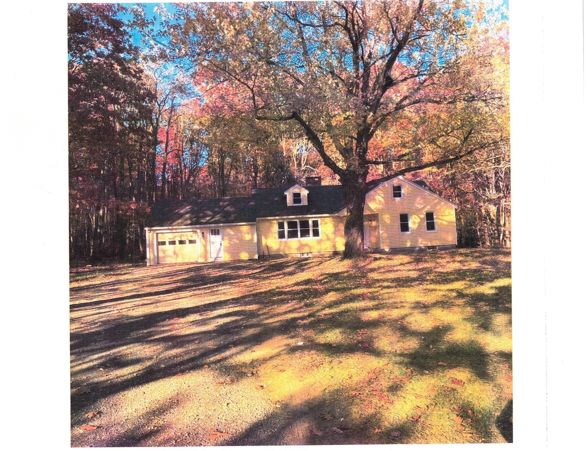 316 Main Road Property Photo 1