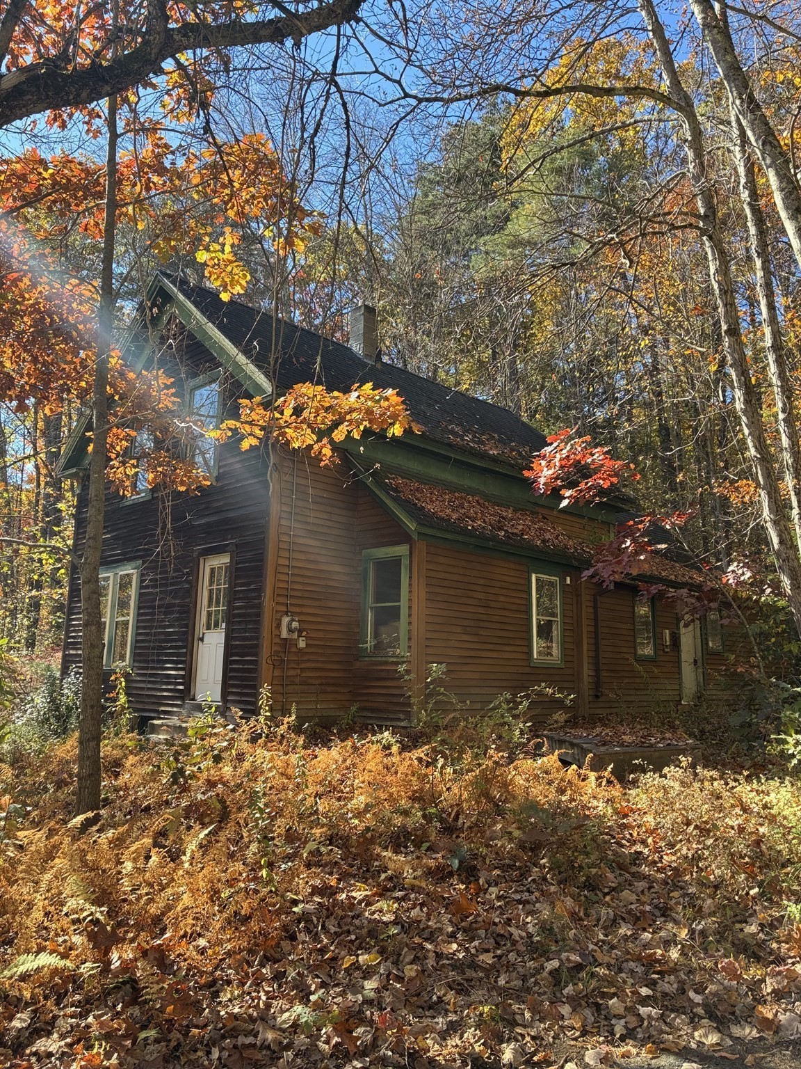 71 Shelter Property Photo 1