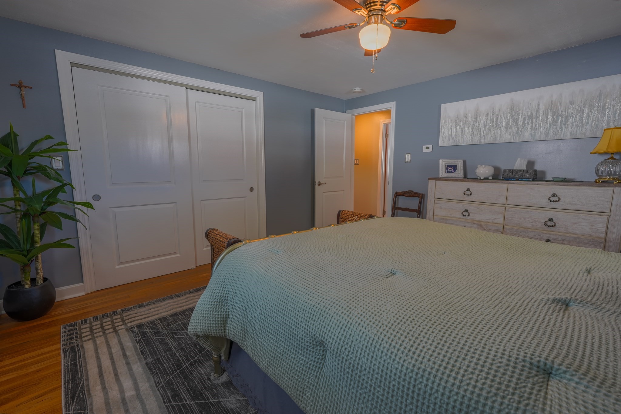 12 Albion Street Property Photo 12