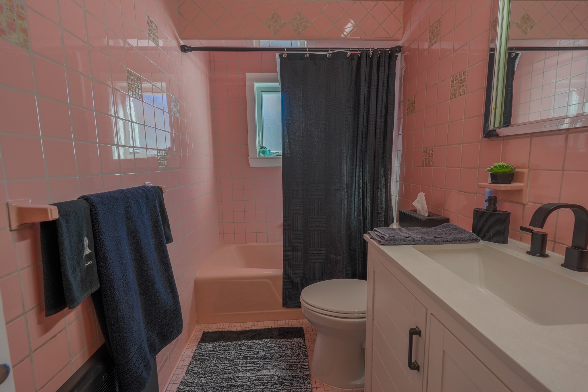 12 Albion Street Property Photo 16