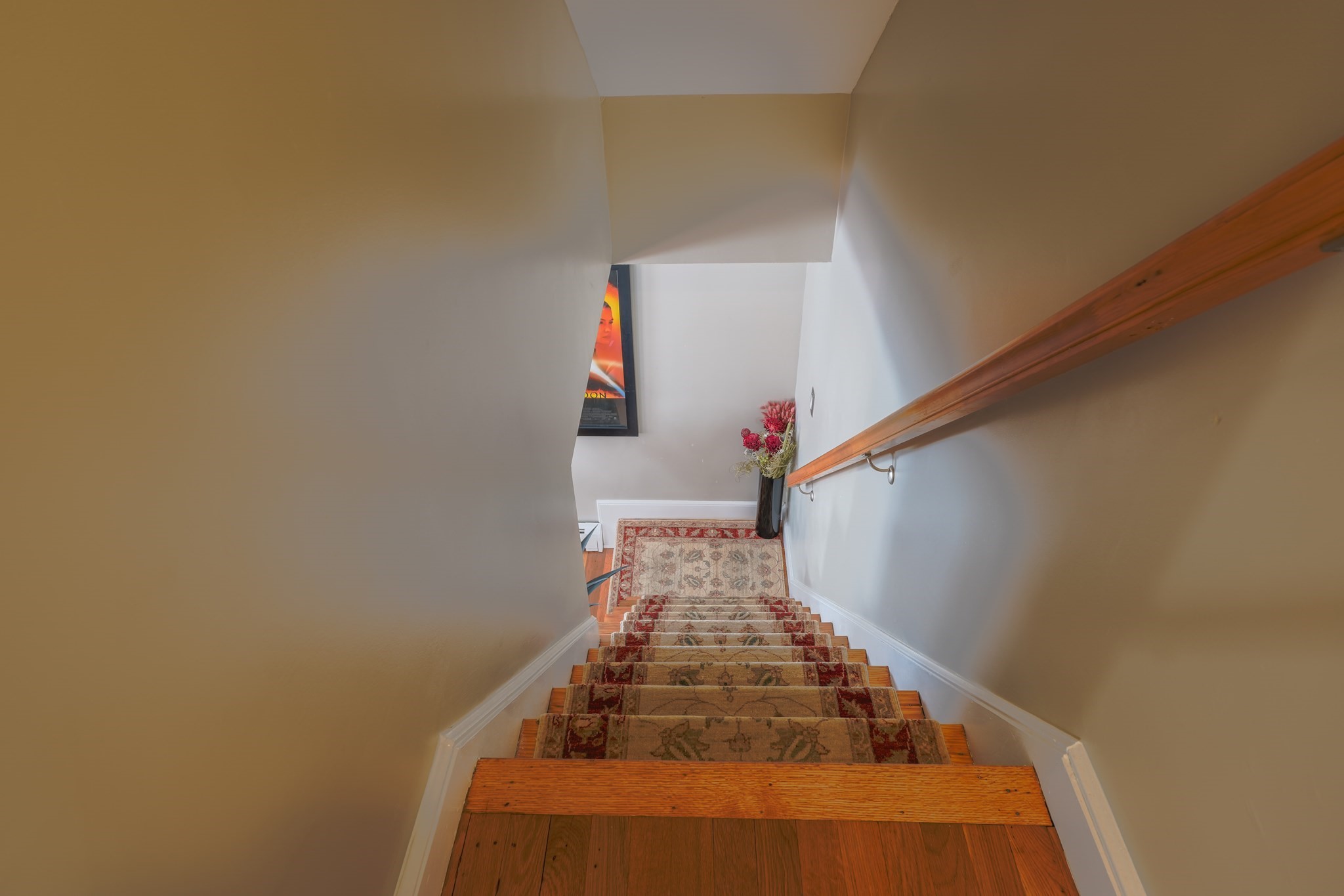 12 Albion Street Property Photo 23