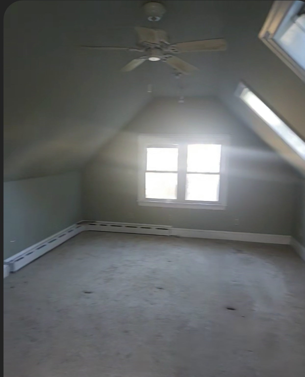 69 Lealand Street # 69 Property Photo 17