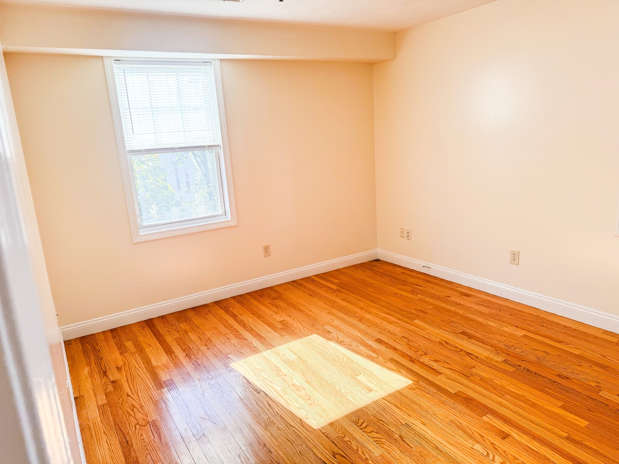 339 Adams St # 6 Property Photo 15
