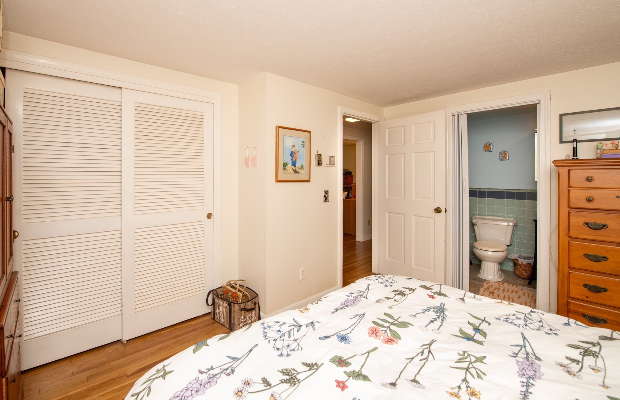 7 Paulinda Rd Property Photo 23