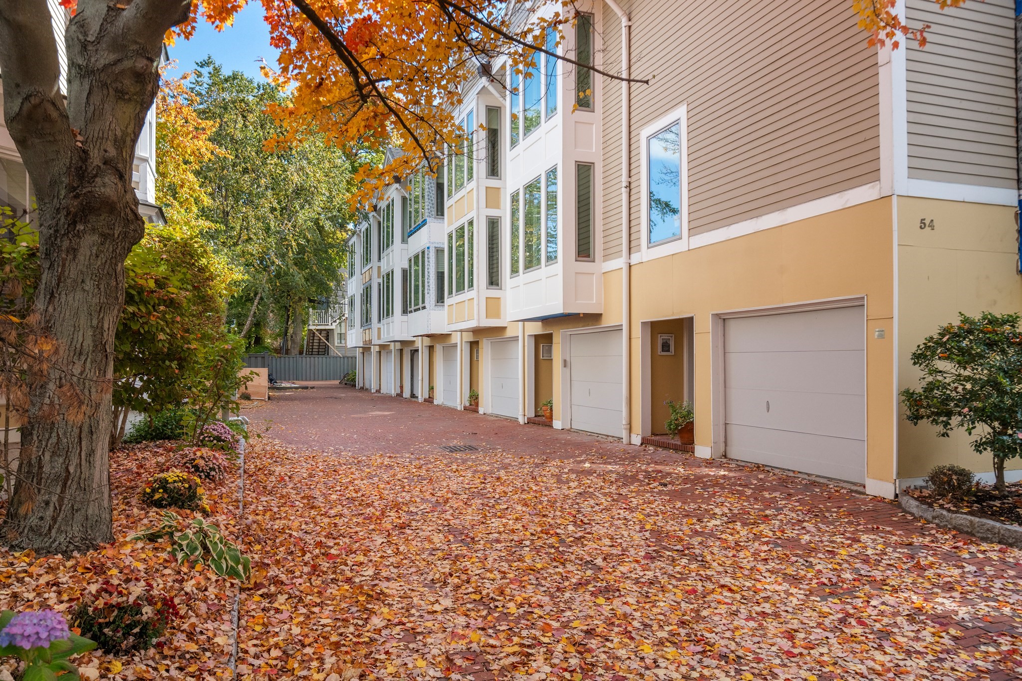 54 Trowbridge Street # B Property Photo 1