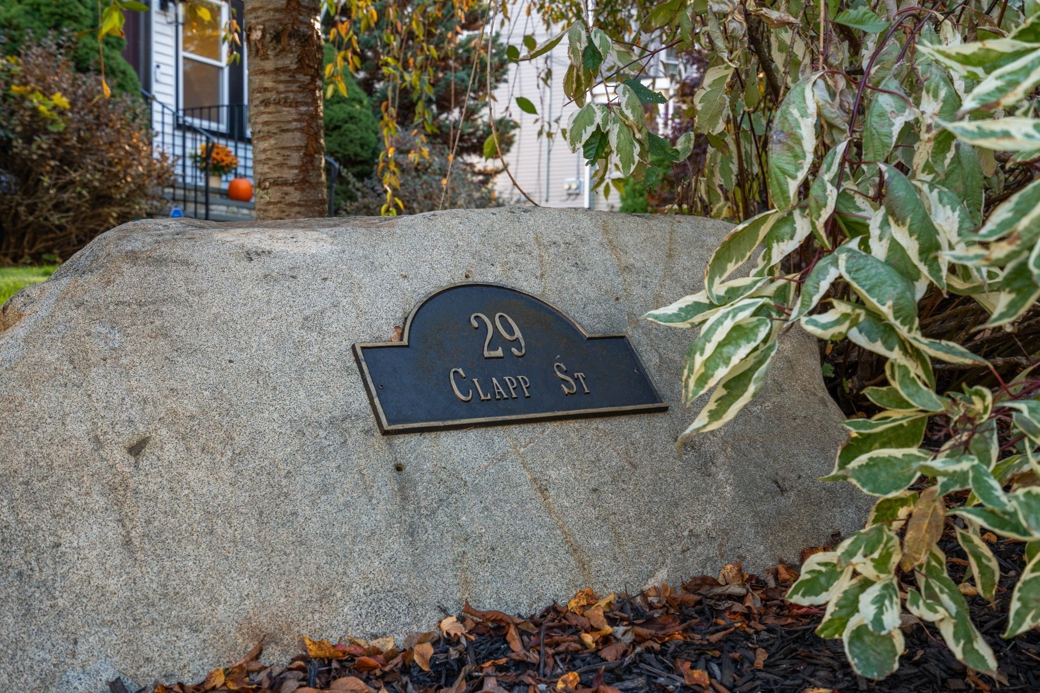 29 Clapp St Property Photo 2