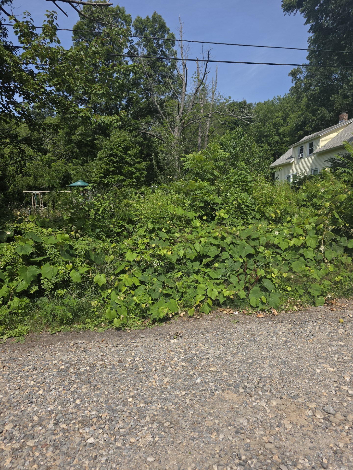 44 Maravista Rd Property Photo 1