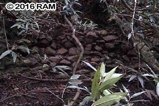 000 Hana Hwy Property Photo 11