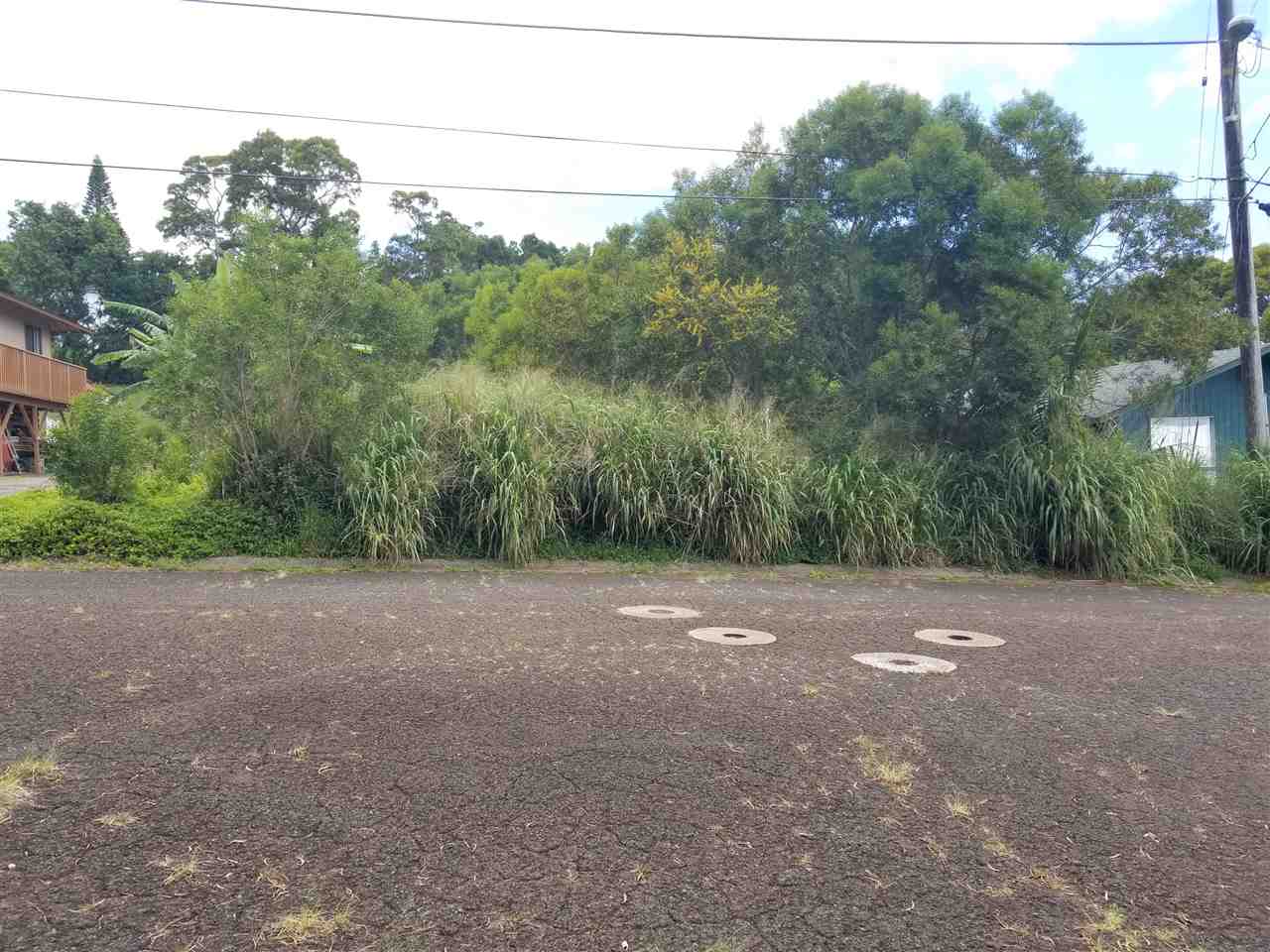 2108 Akeu Way Property Photo 1