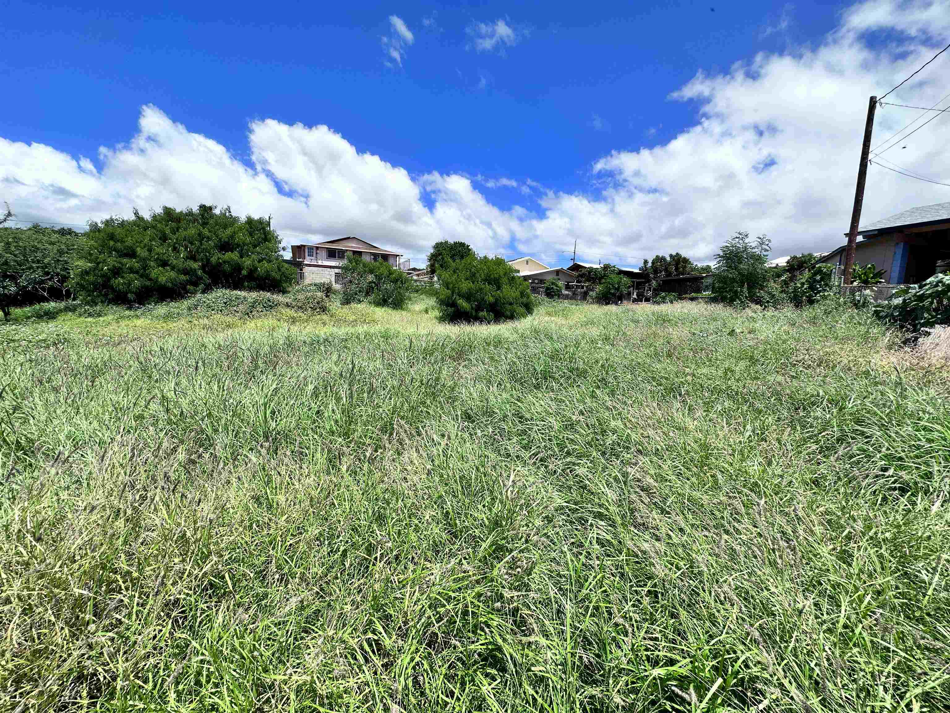239 Wiliwili Pl Property Photo 2