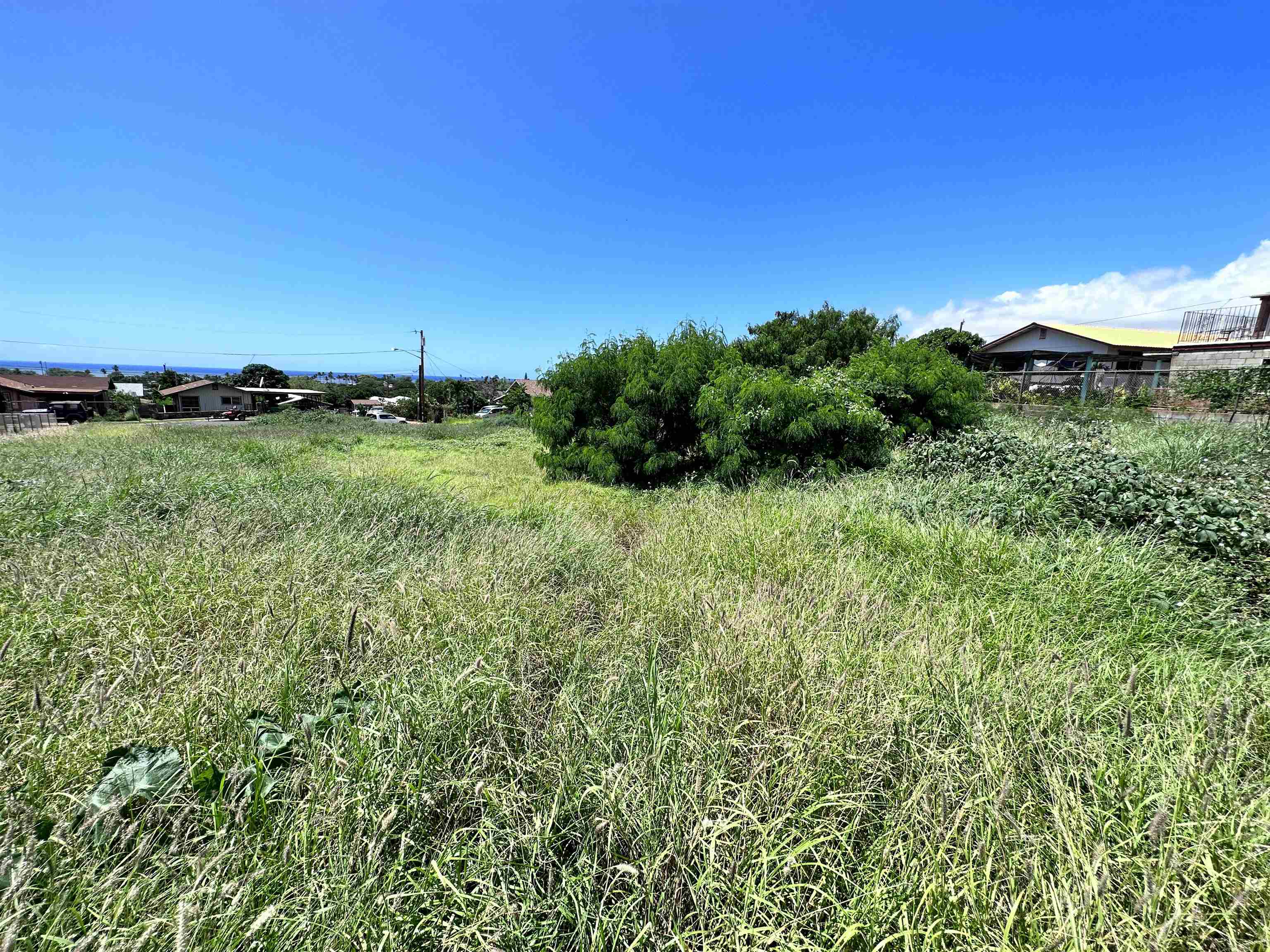239 Wiliwili Pl Property Photo 4