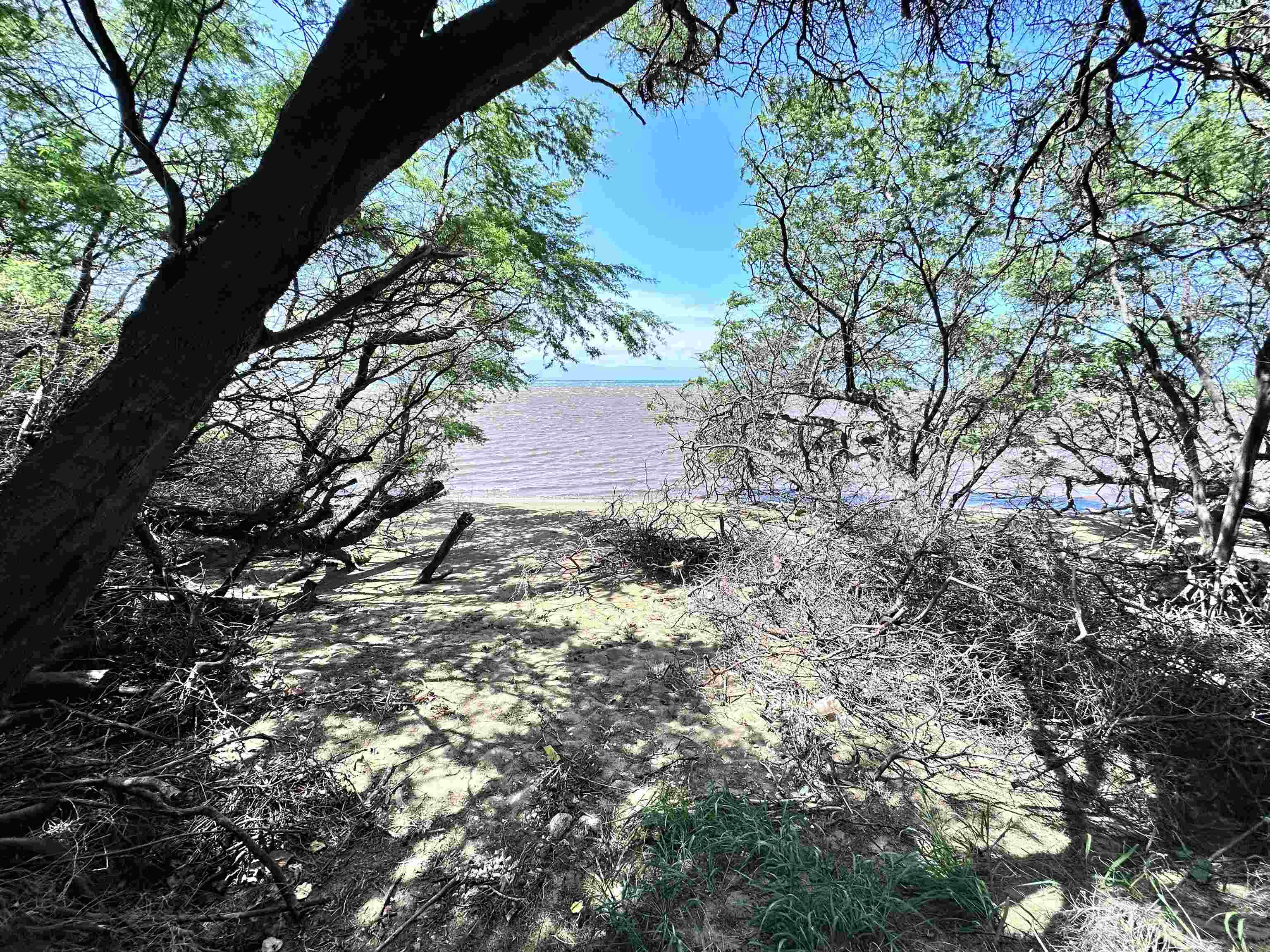 0 Kamehameha V Hwy Property Photo 17
