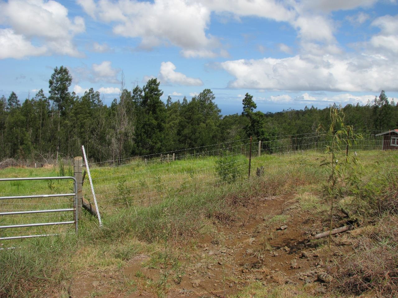 Kula Hwy Property Photo 4