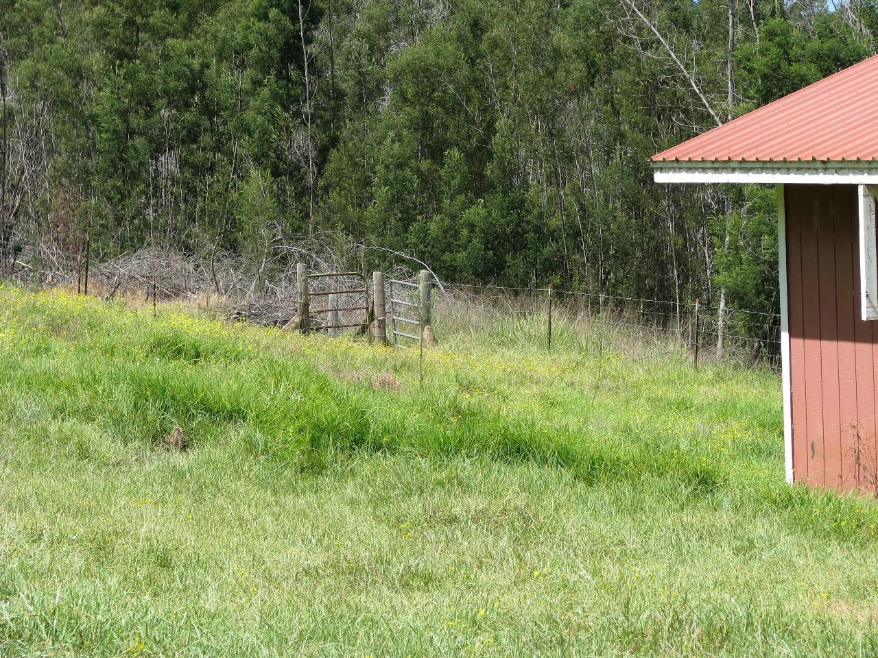 Kula Hwy Property Photo 8