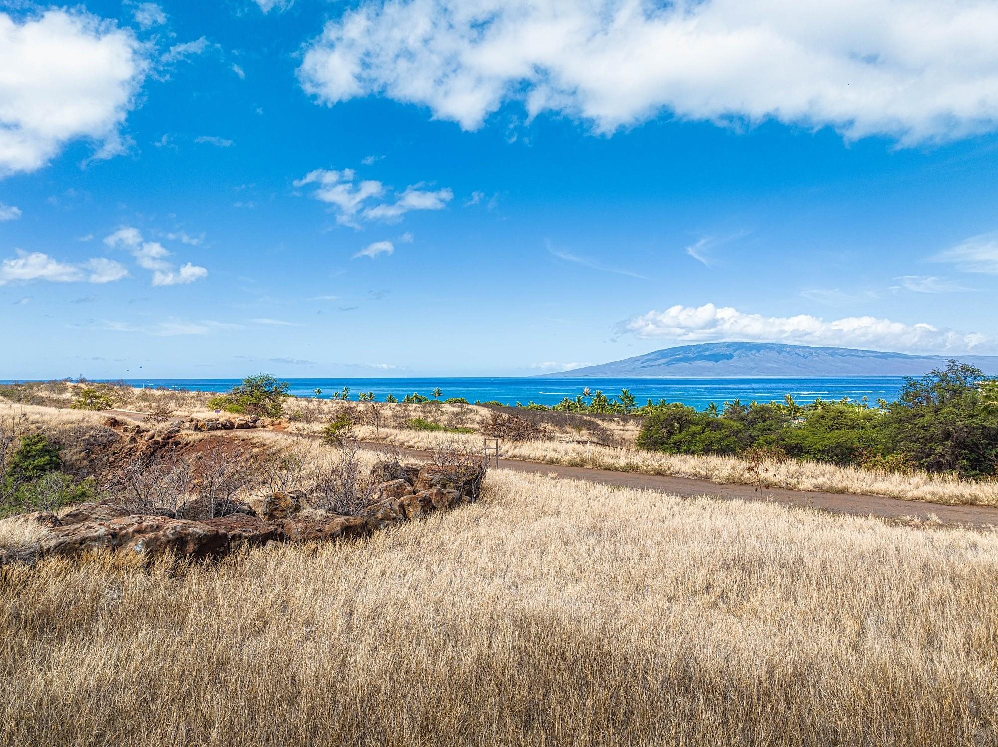 364 Anapuni Loop Property Photo 18